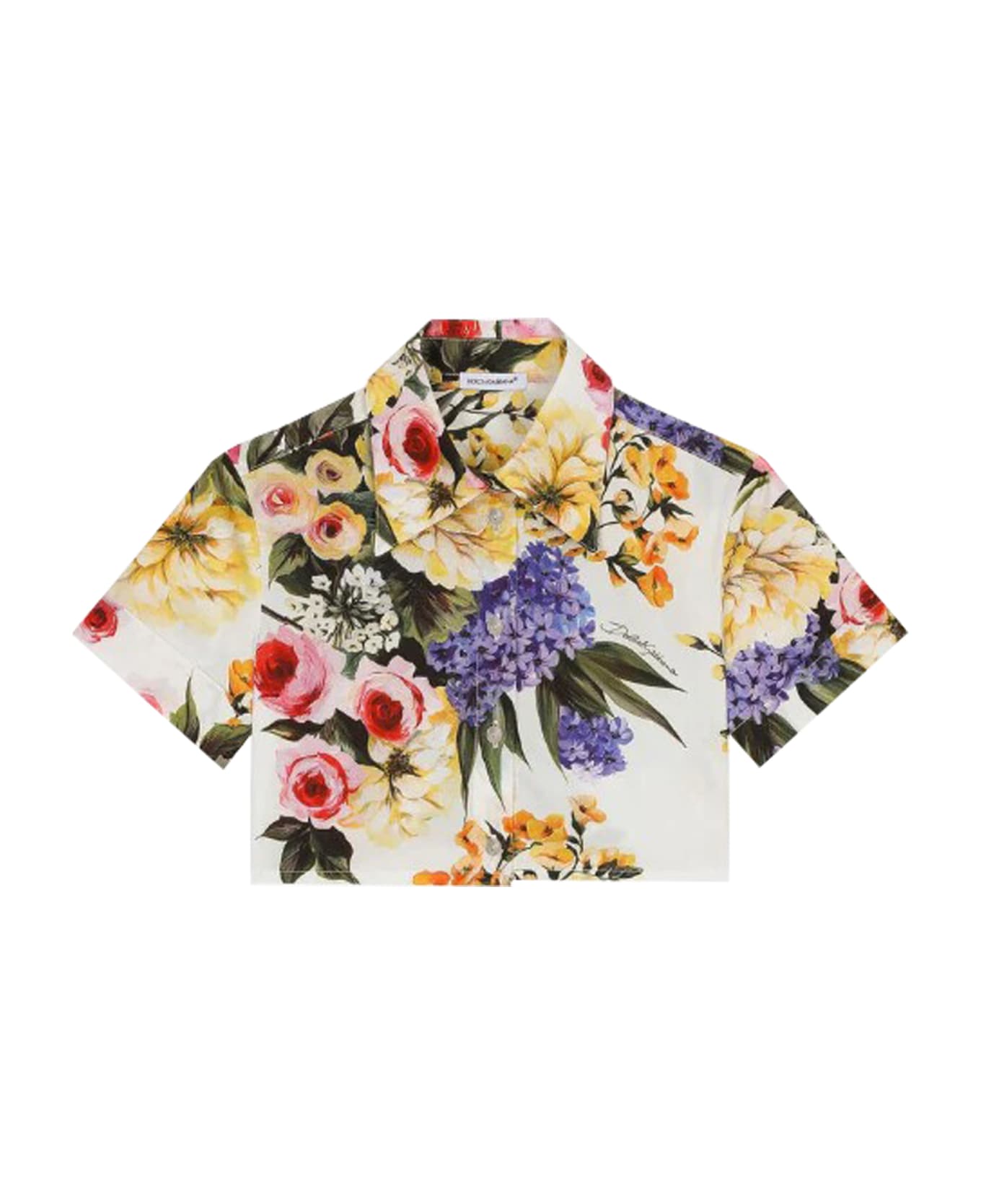 Dolce & Gabbana Poplin Shirt With Garden Print - Multicolor