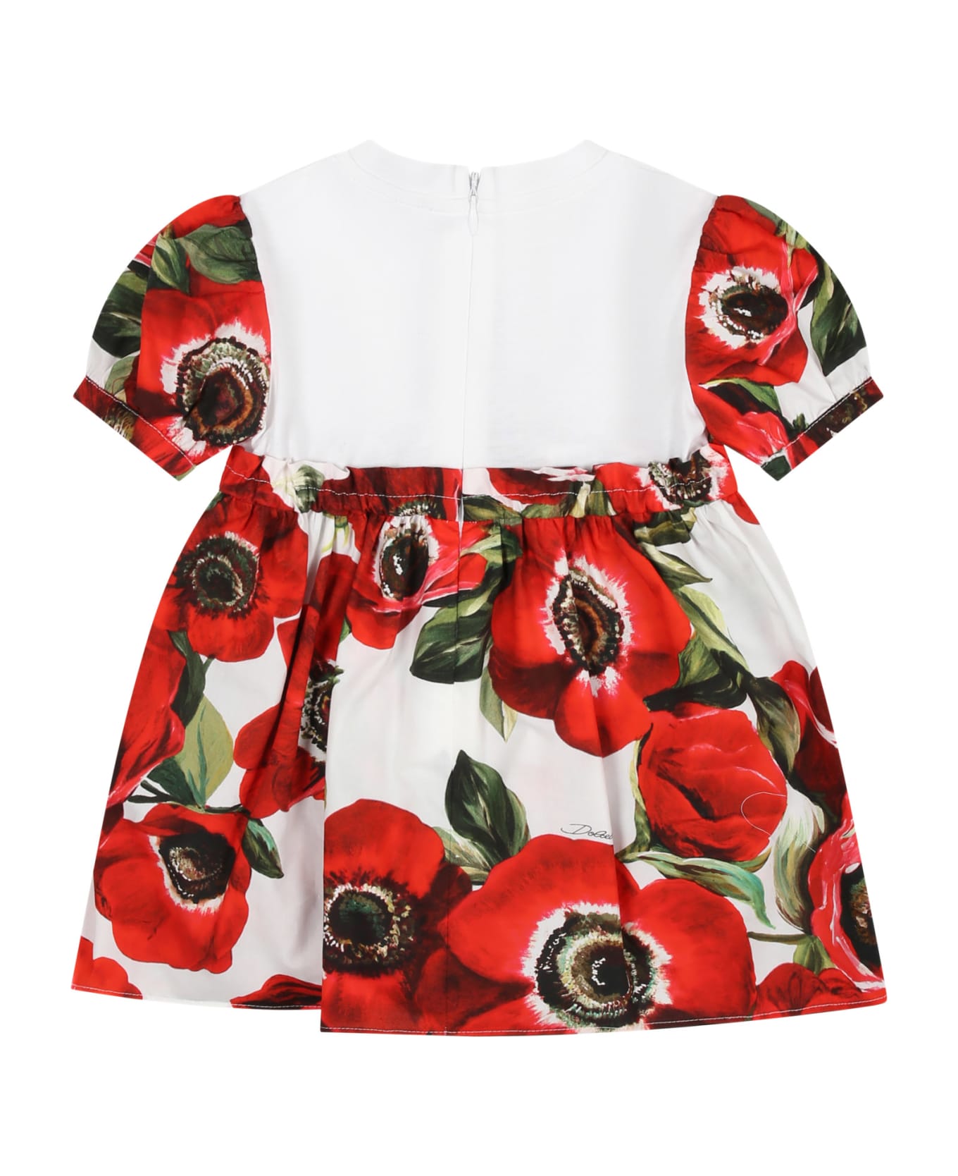 Dolce & Gabbana Red Dress For Baby Girl With All-over Anemone Flower - Red