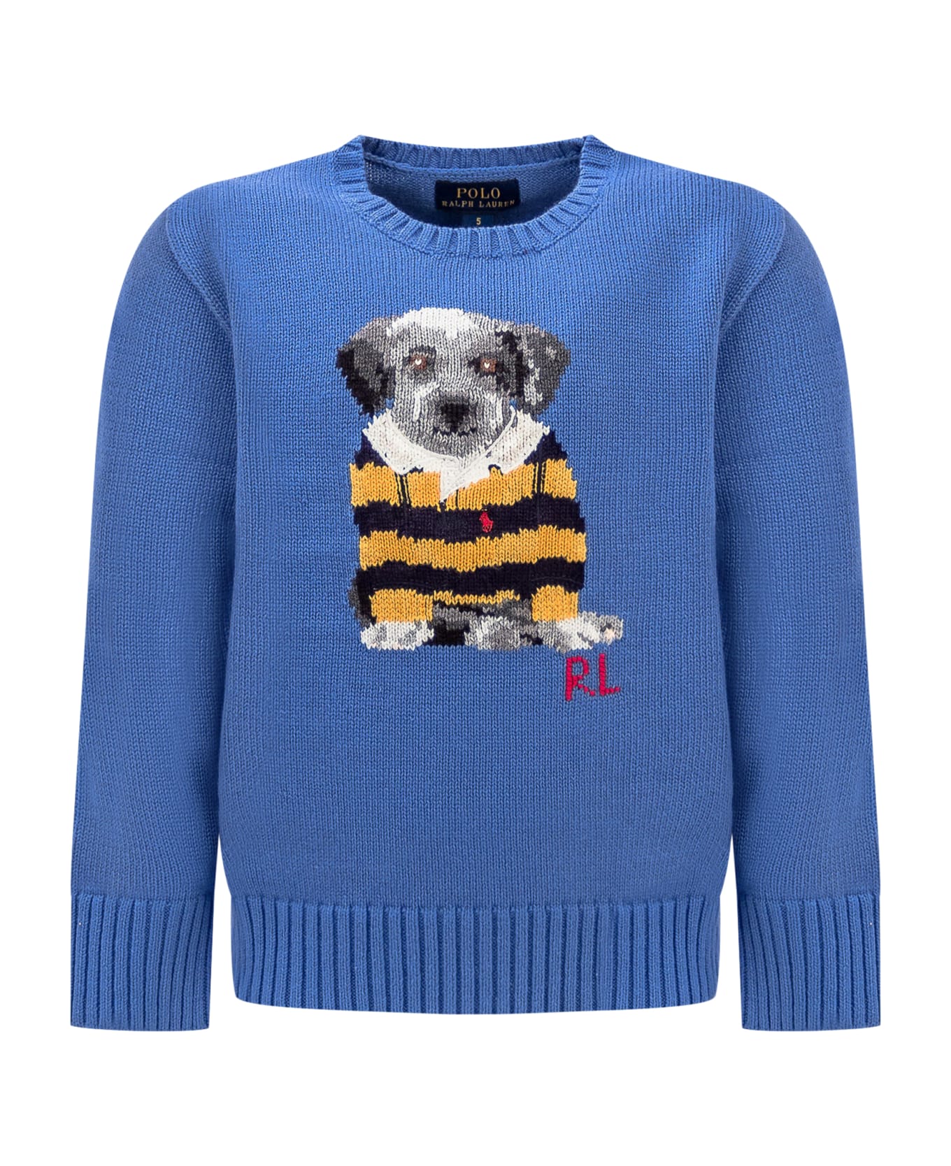 Polo Ralph Lauren Puppy Shirt - NEW ENGLAND BLUE ニットウェア＆スウェットシャツ