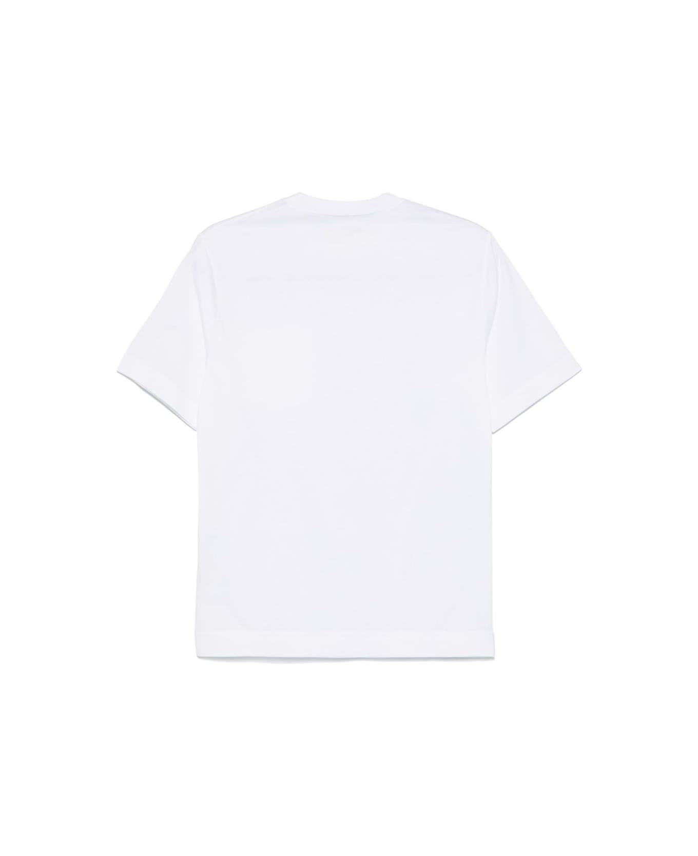Circolo 1901 Cotton T-shirt - White