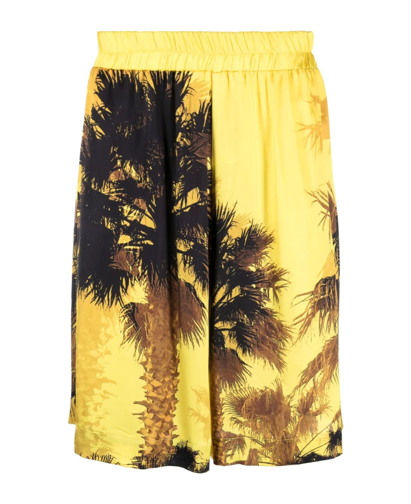 Laneus Palm-tree Print Shorts
