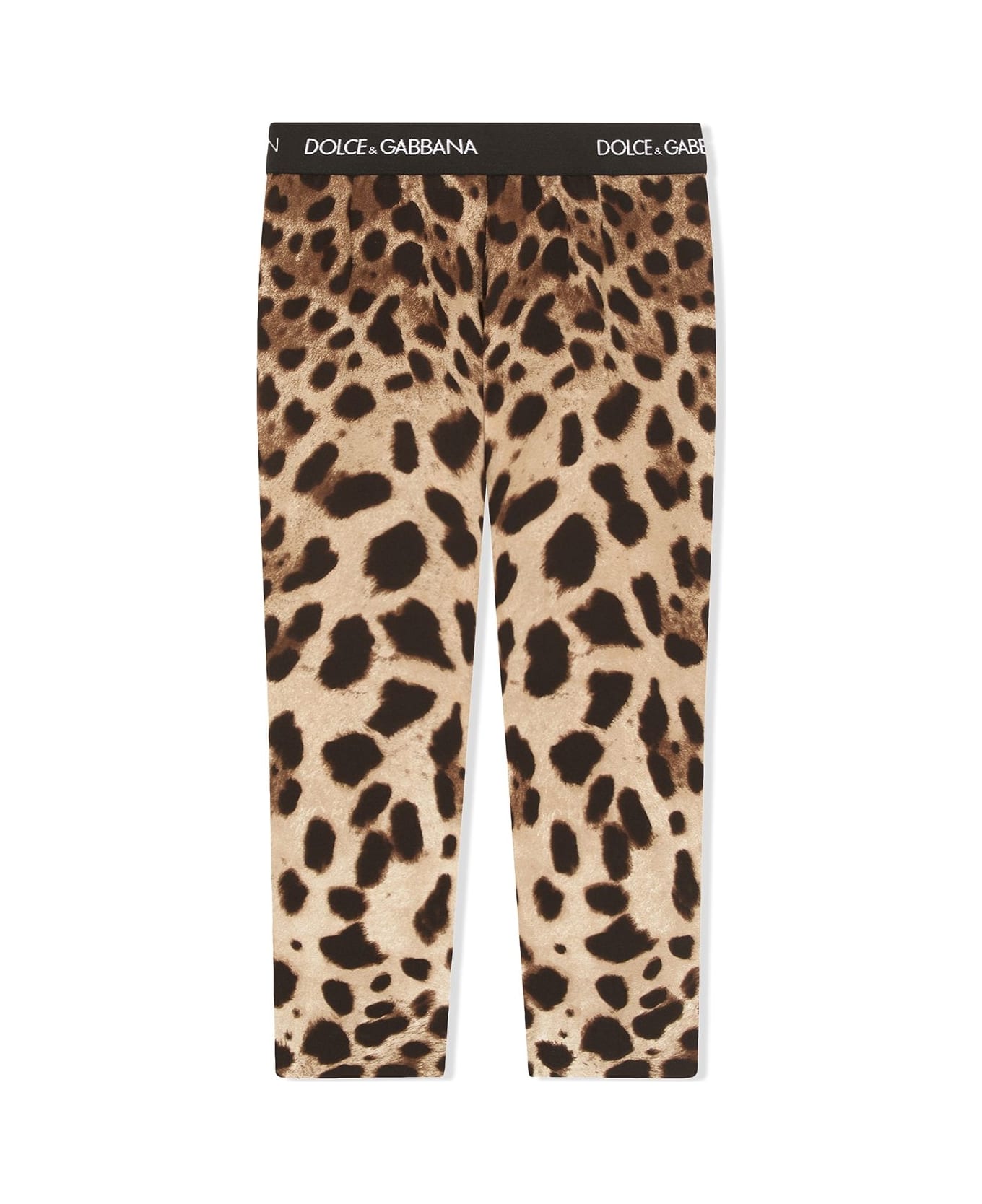 Dolce & Gabbana Leggings Con Stampa - Brown