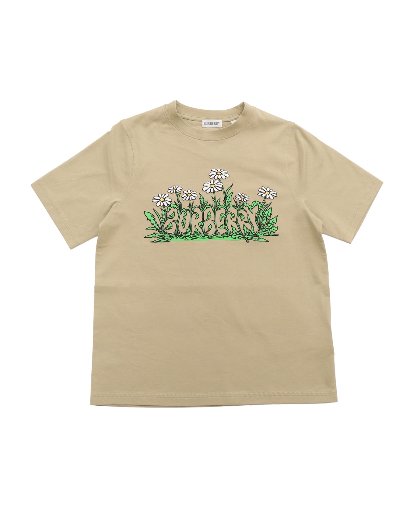 Burberry Kid Boy T-shirts - GREEN