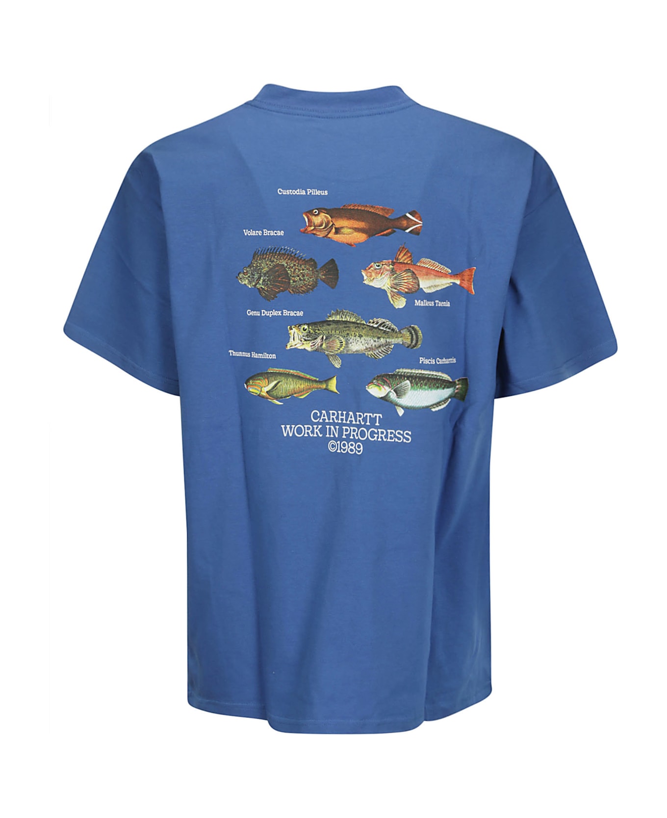 Carhartt S/s Fish T-shirt Organic Cotton Single Jersey - ACAPULCO