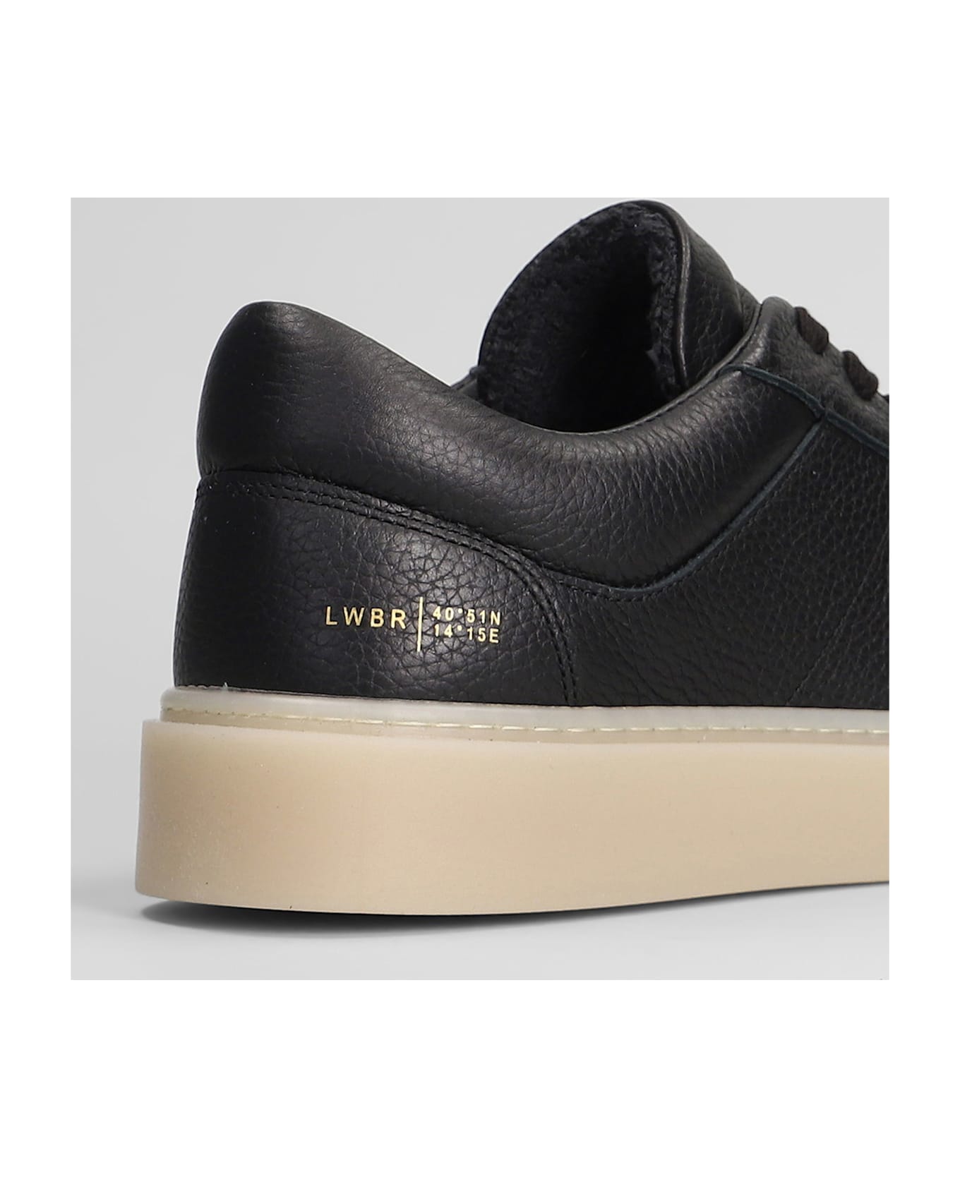 Low Brand Fly Sneakers In Black Leather - black