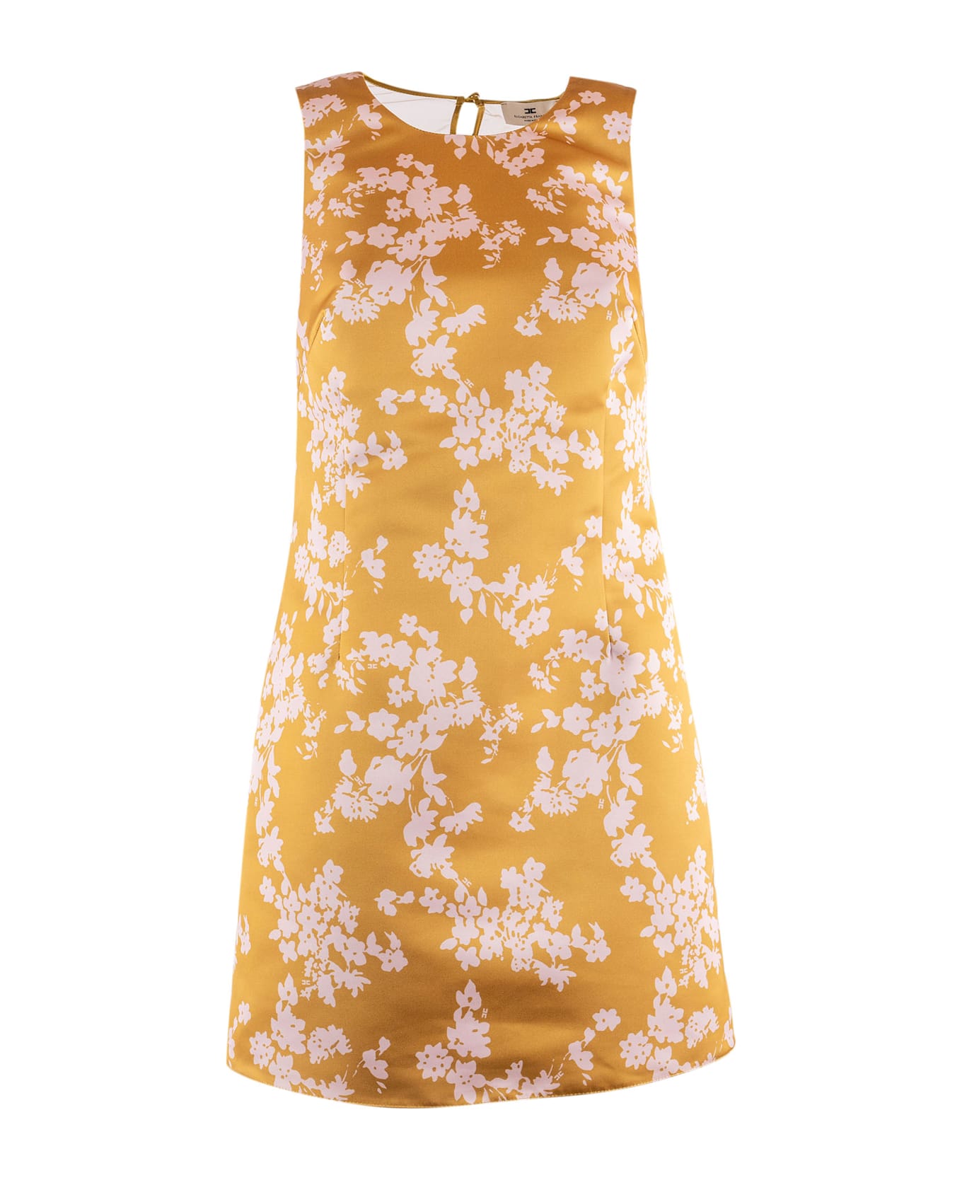 Elisabetta Franchi Women's Dress - YELLOW