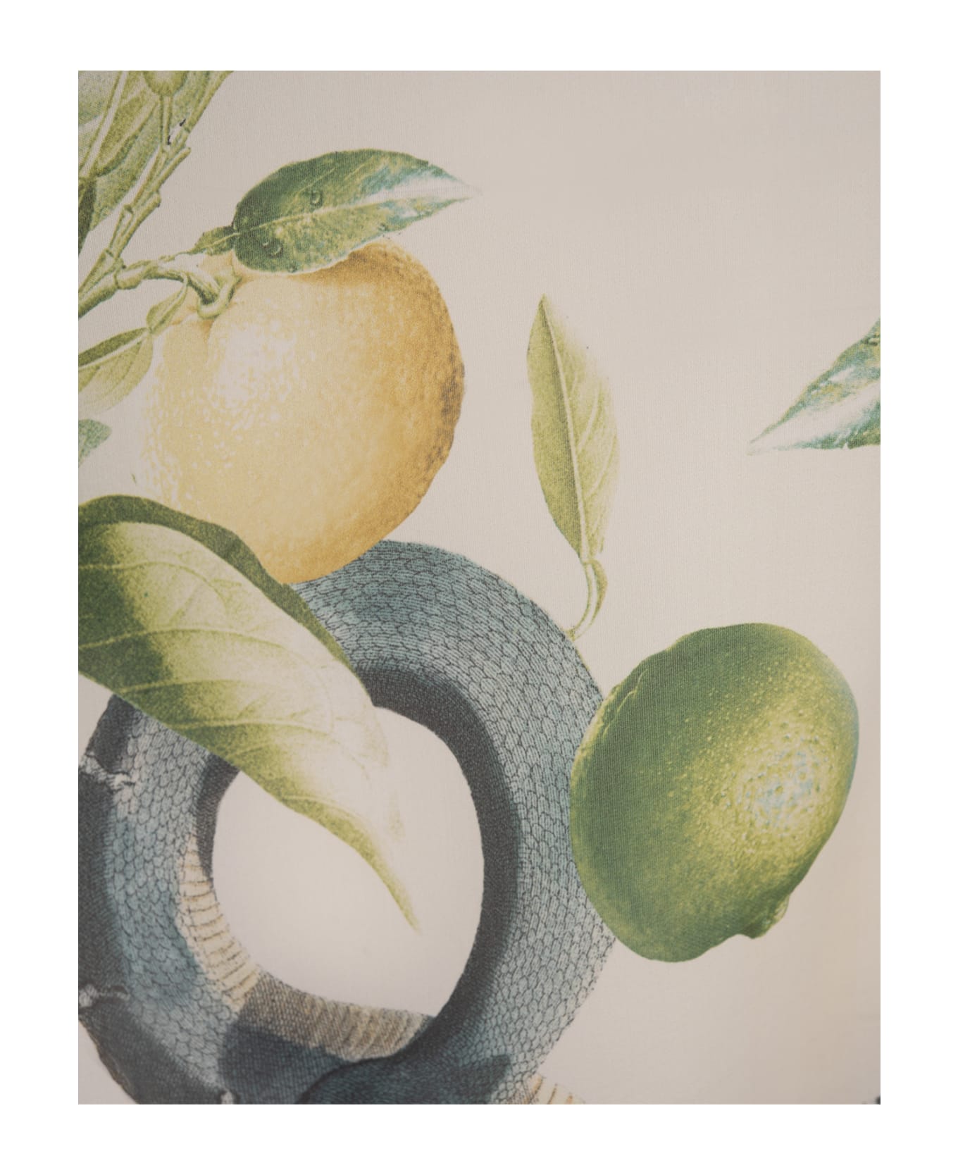 Roberto Cavalli Ivory Shirt With Lemons Print - Multicolor