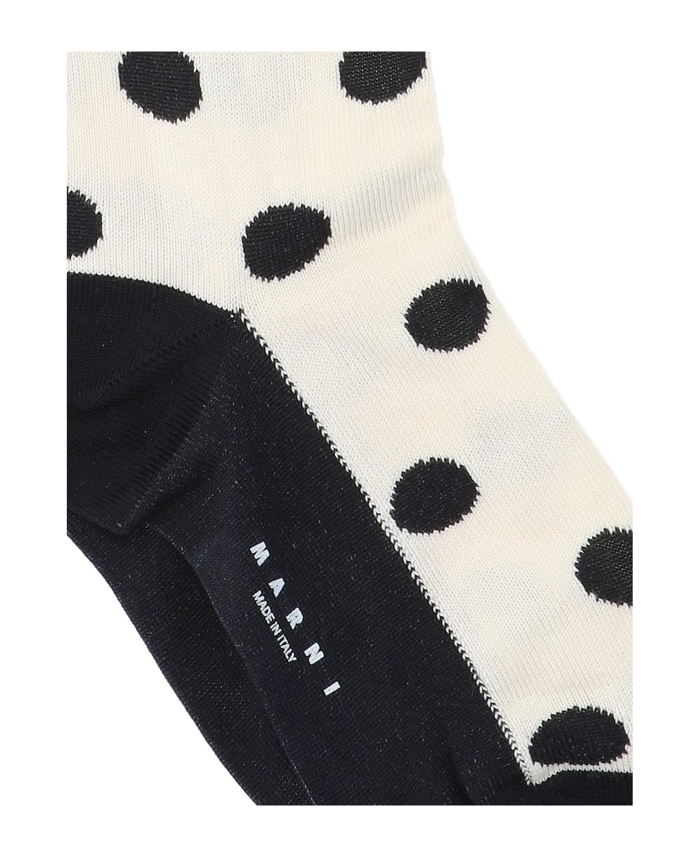 Marni Polka Dot Socks - Dow03 靴下＆タイツ