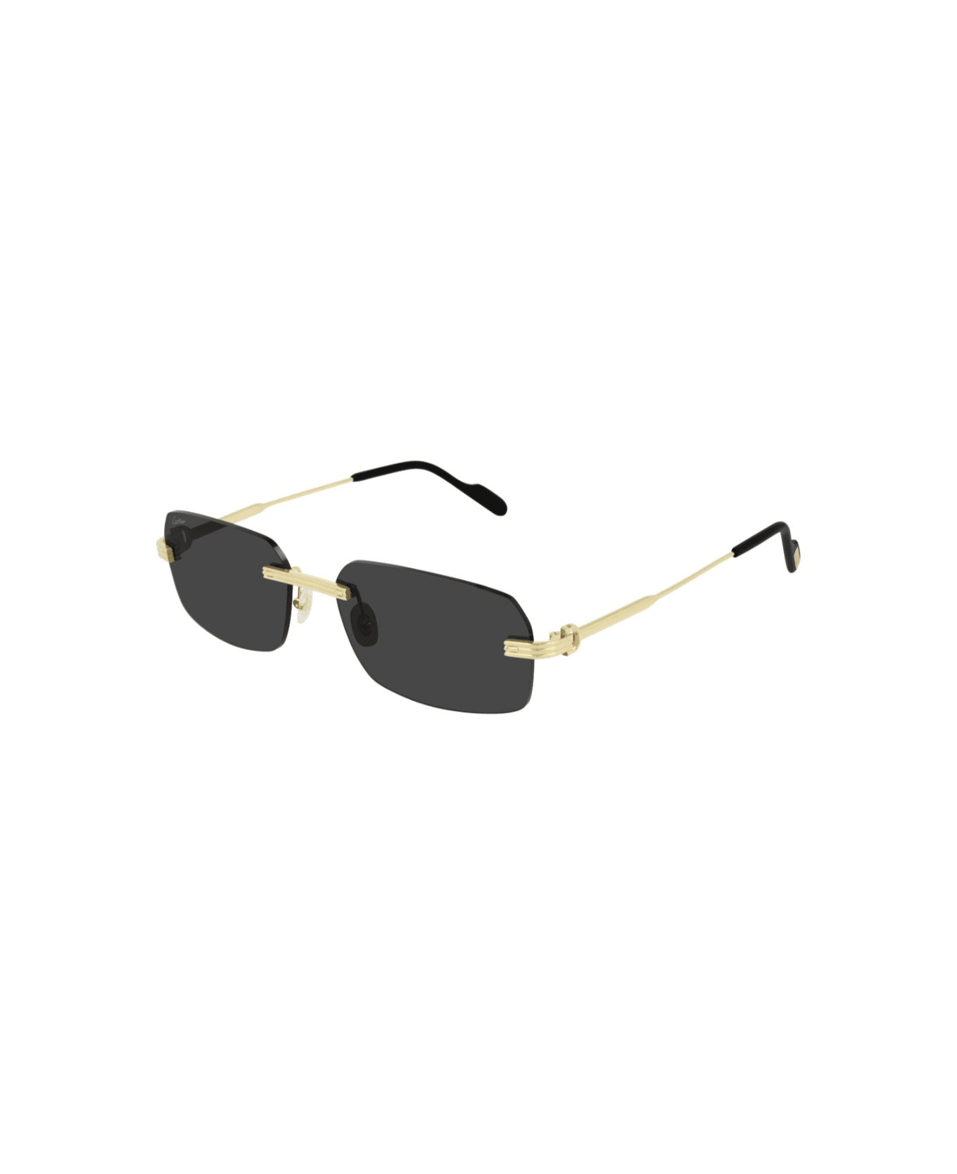Cartier Eyewear CT0271 Sunglasses - Silver