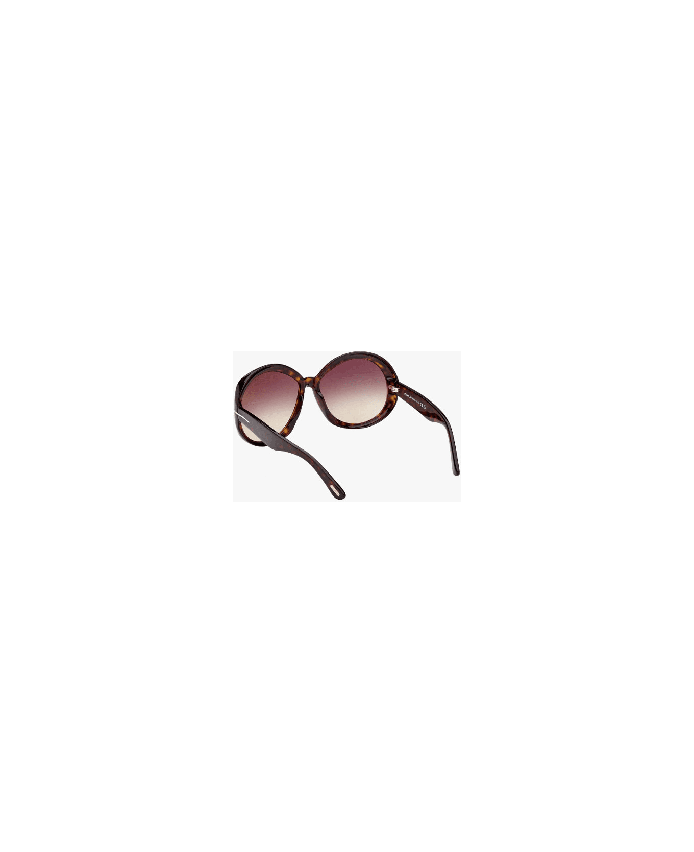 Tom Ford Eyewear TF1010 52B Sunglasses