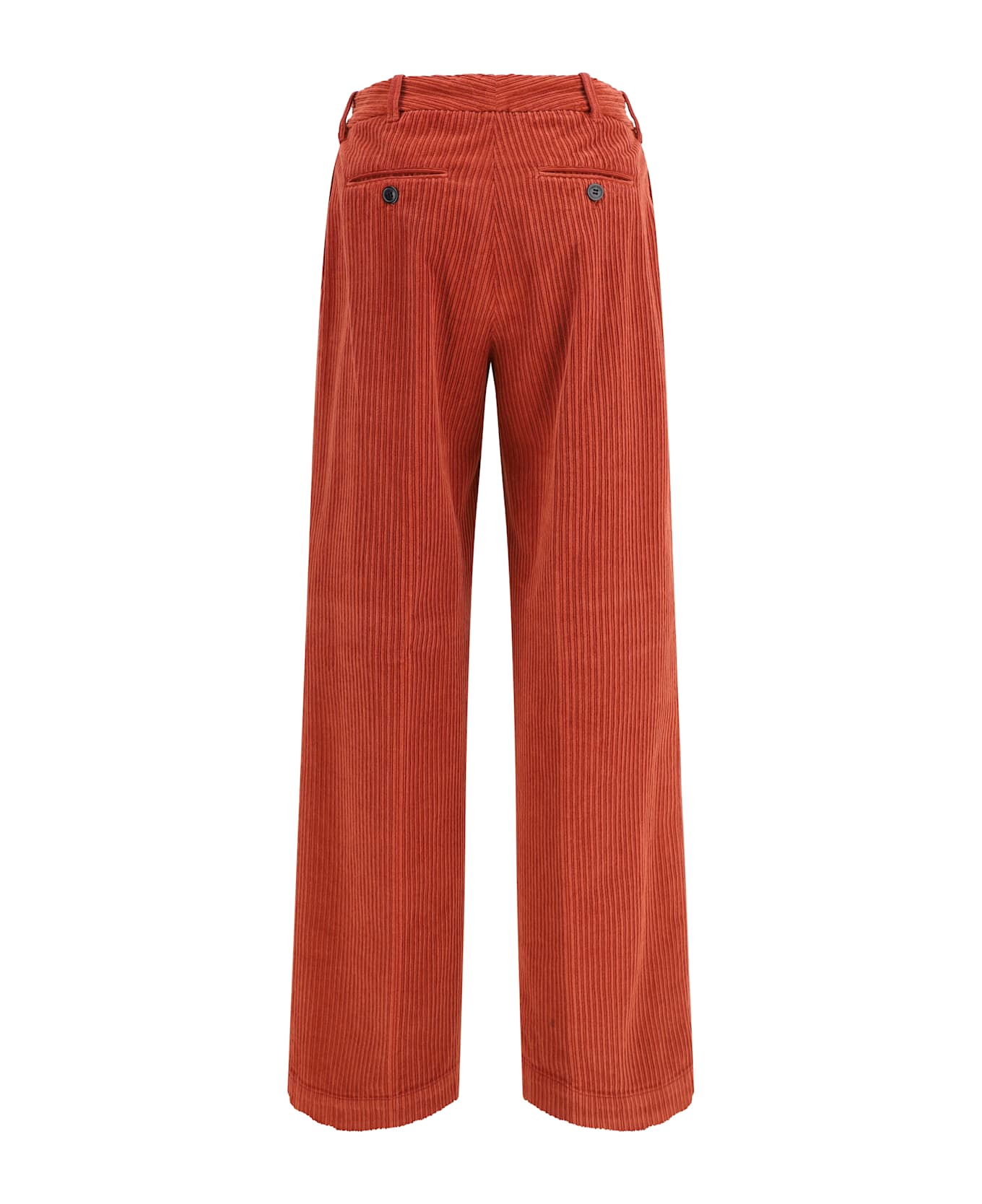 True Royal Nicky Pants