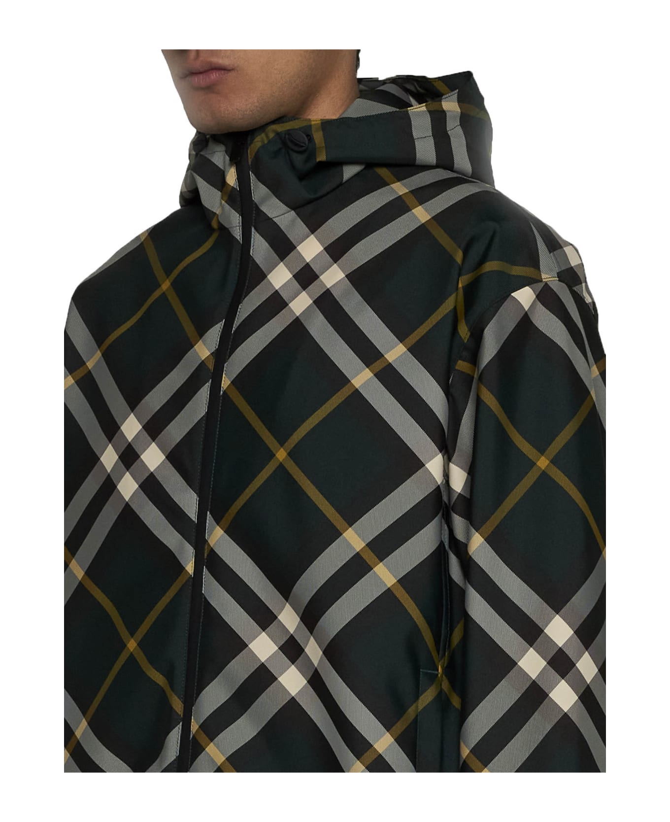 Burberry Logo Embroidered Check-pattern Zipped Hooded Jacket - Ivy ip check