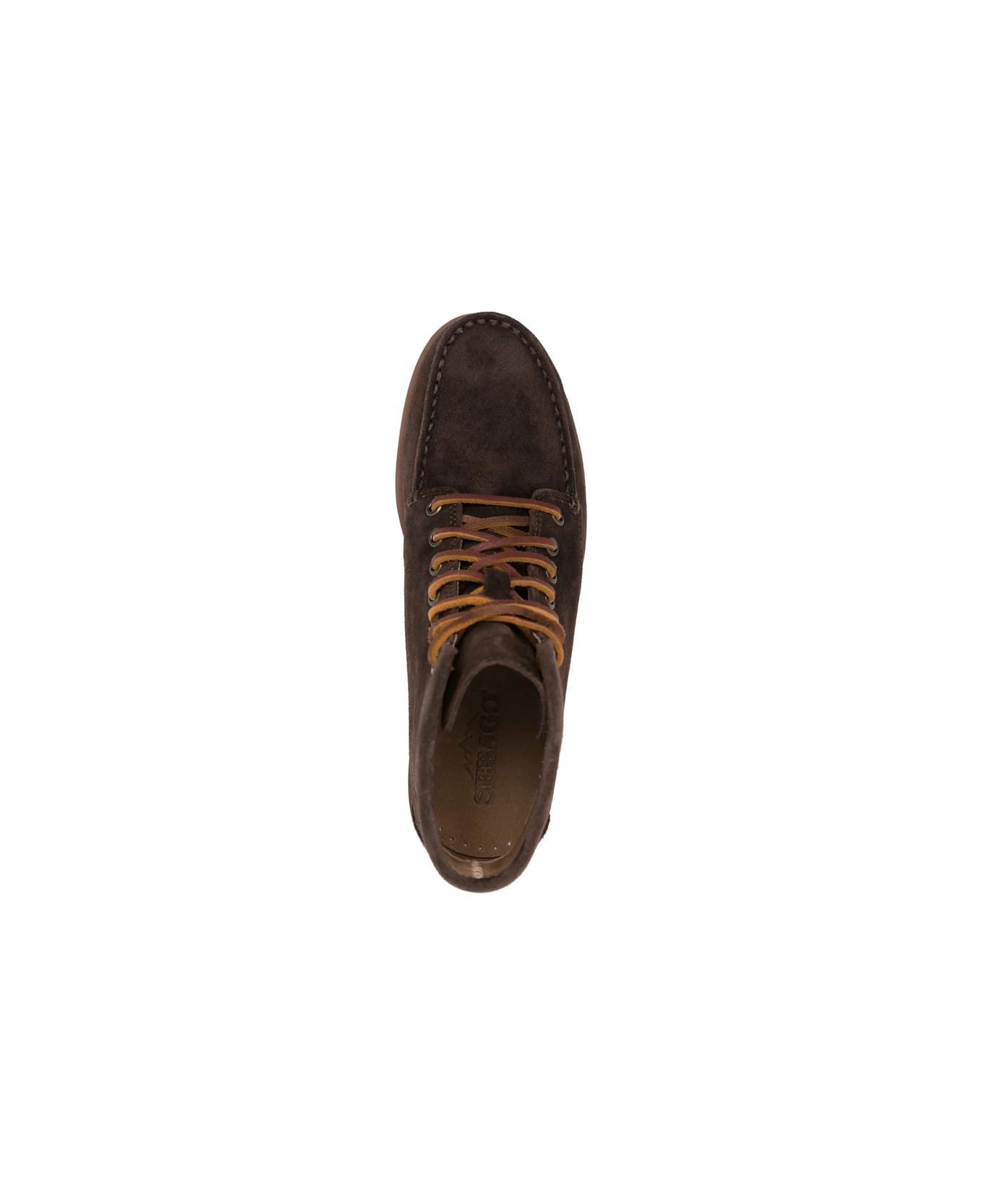 Sebago Shoe - BROWN