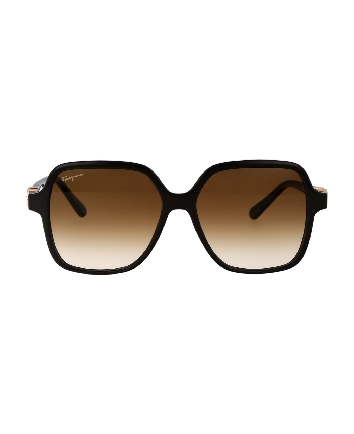 Salvatore Ferragamo Eyewear Sf1083s Sunglasses - 208 BROWN