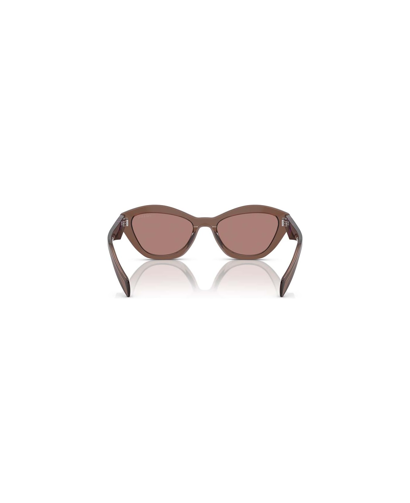 Prada Eyewear Eyewear - Marrone trasparente/Marrone chiaro
