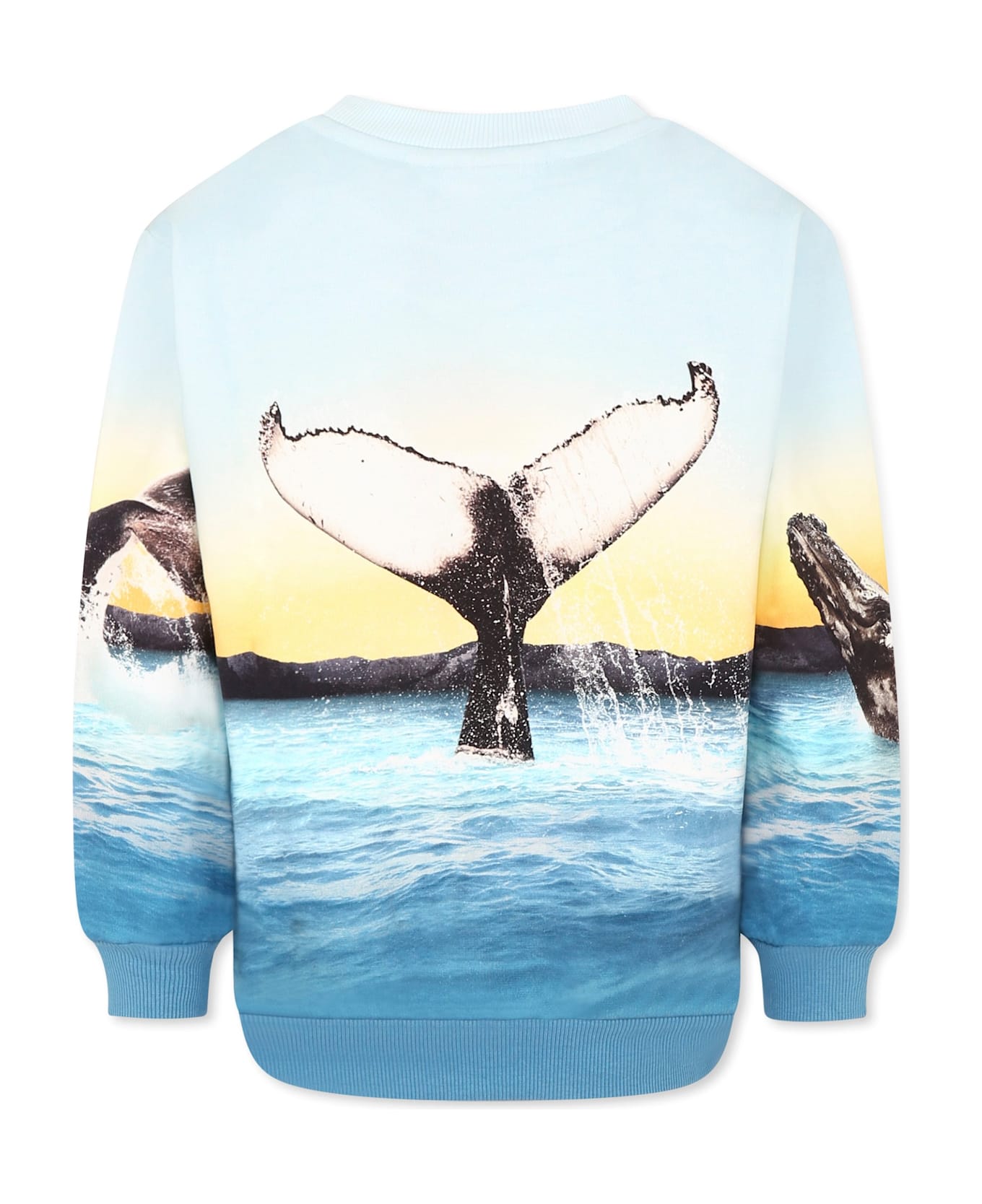 Molo Light Blue Sweatshirt For Boy With Whale - Light Blue