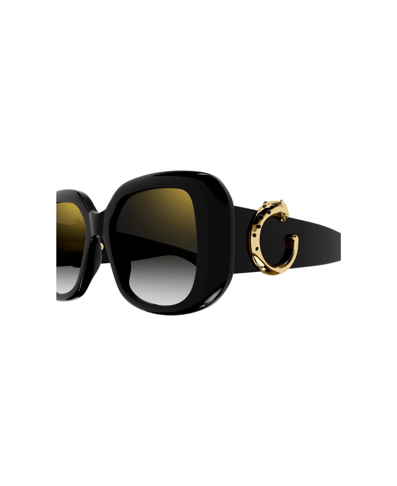 Cartier Eyewear CT0471s 001 Sunglasses