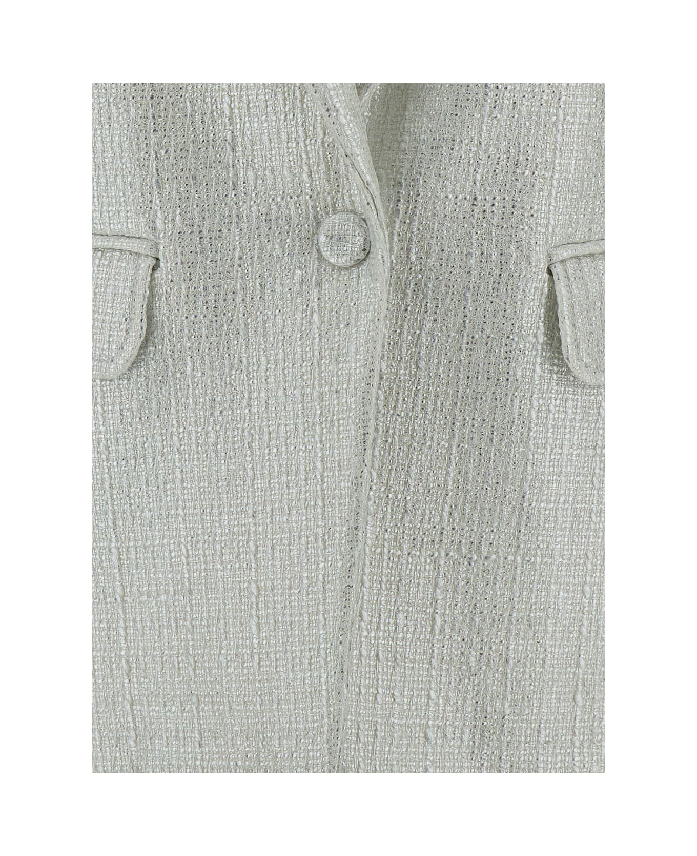 Federica Tosi Silver Single-breasted Jacket With A Single Button In Cotton Blend Man - Metallic
