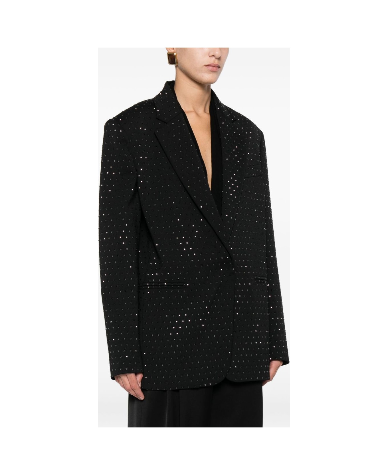 The Andamane Single-breasted Crystal-embellished Blazer - Black