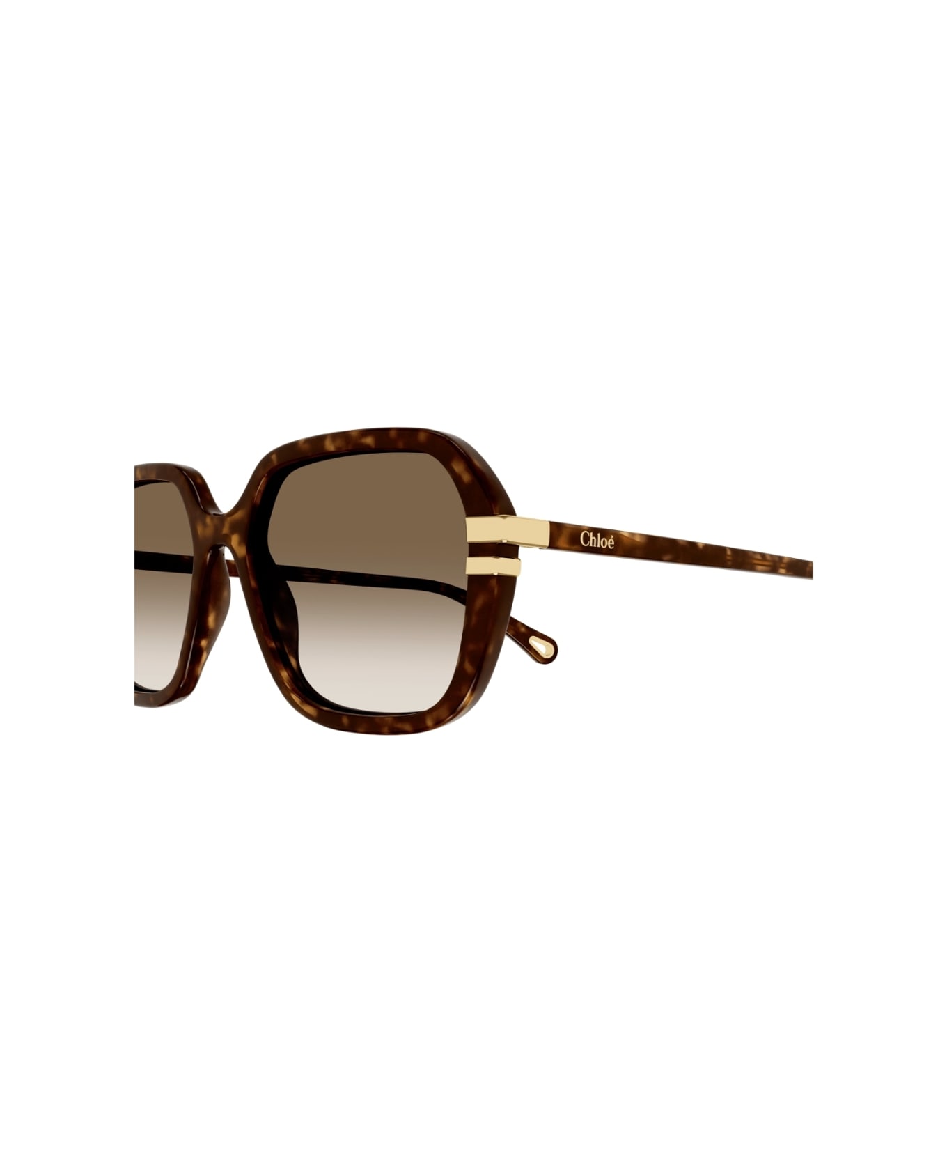Chloé Eyewear CH0204s 002 Sunglasses
