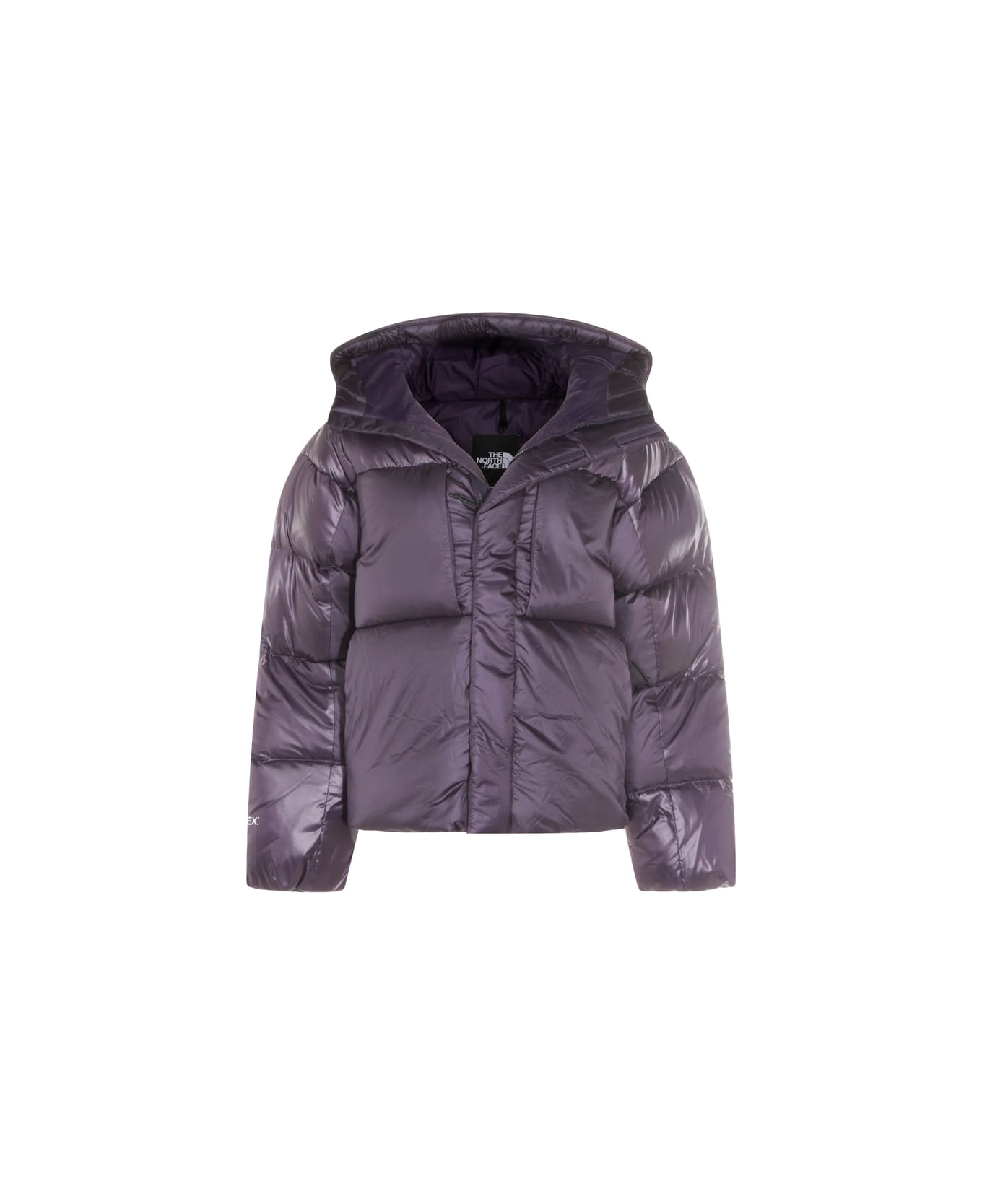 The North Face Outerwear - PURPLE/GREEN