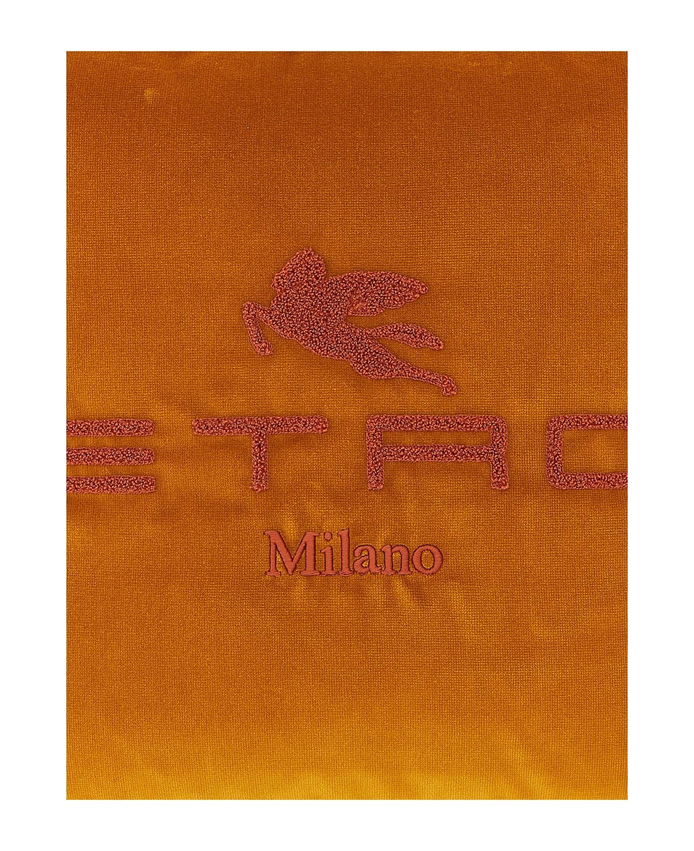 Etro Spunga Logo Cushion - Orange