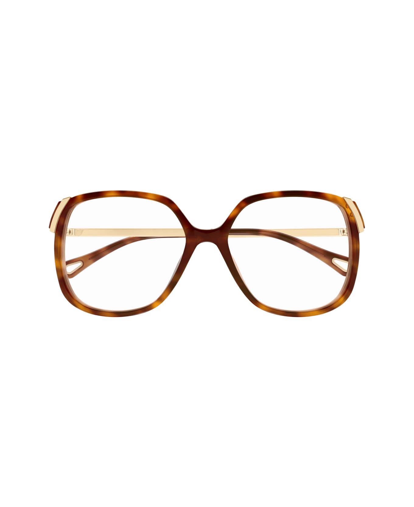 Chloé Ch0287o Aly Linea Chloé 002 Havana Gold Glasses - Havana