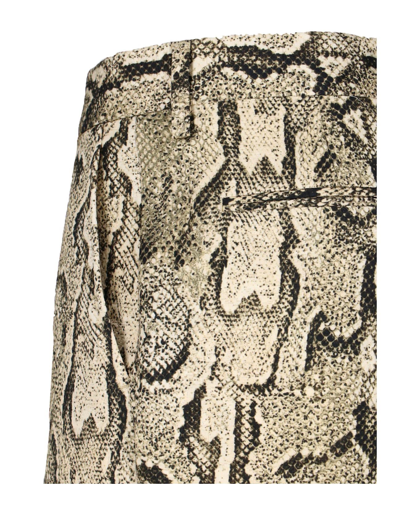 Dries Van Noten Python Print Pants - Beige