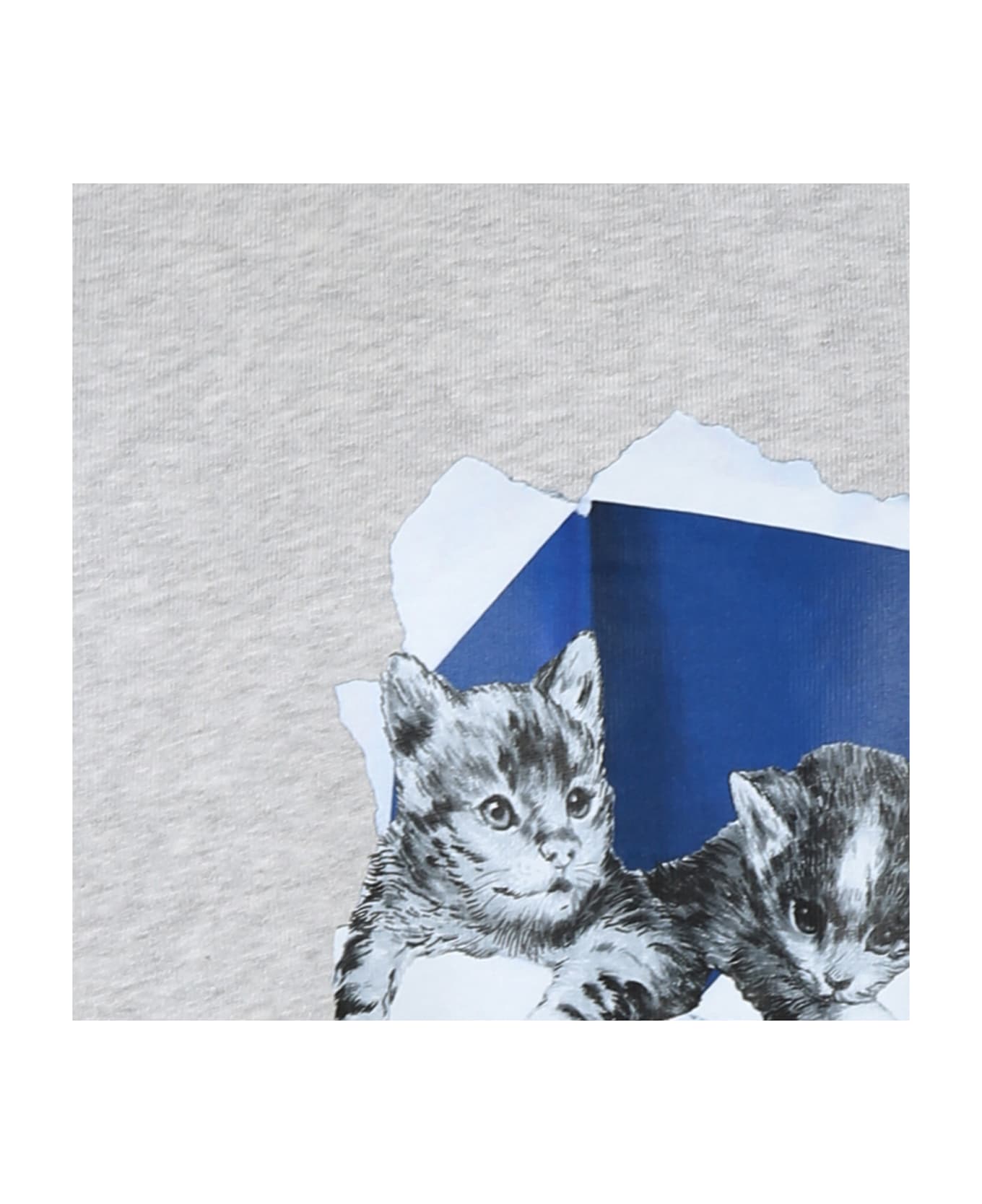 MSGM Grey Sweatshirt For Girl With Logo - Grey