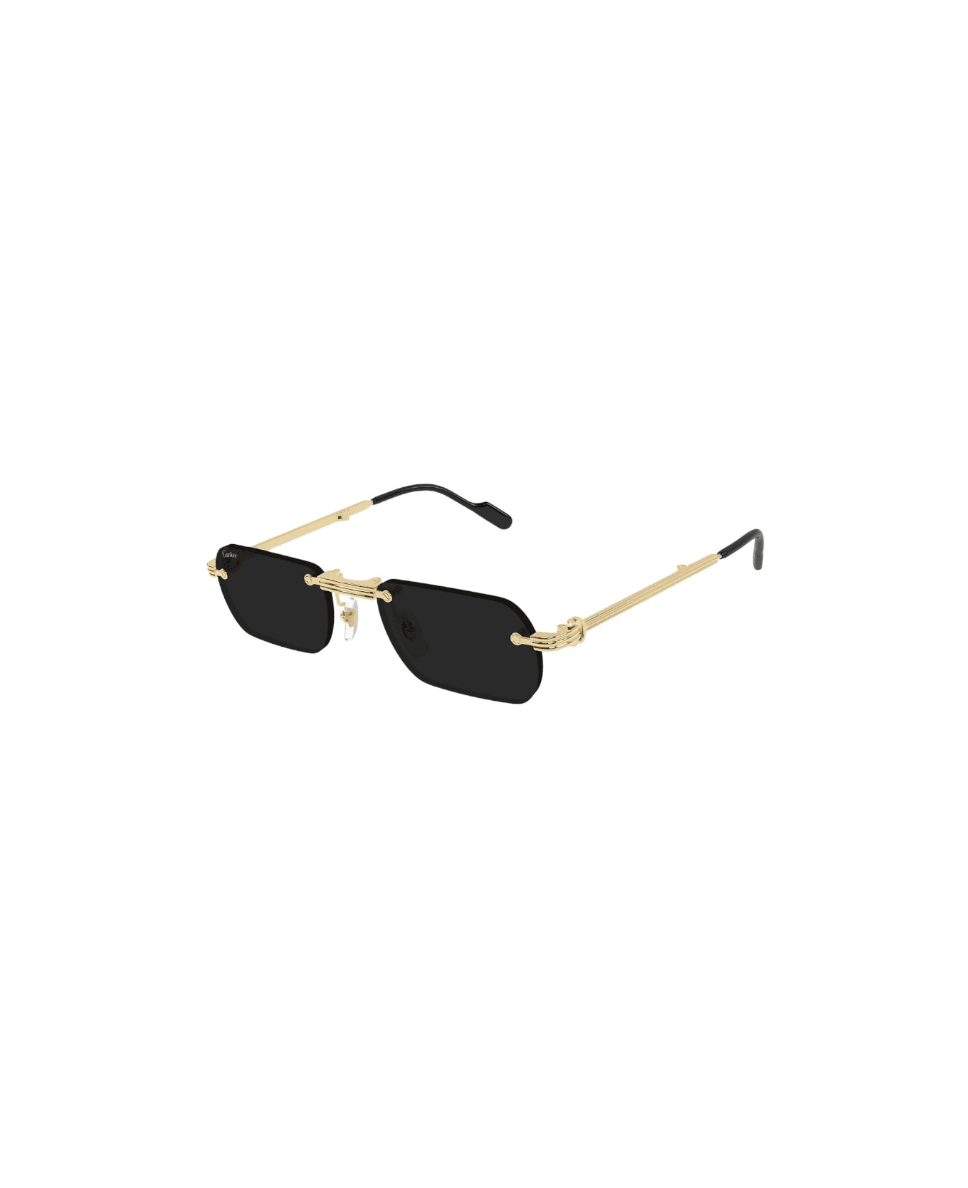 Cartier Eyewear Ct 0499 Sunglasses