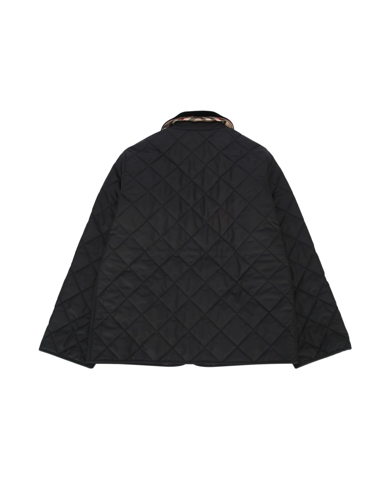 Burberry Kb6 Milo - BLACK