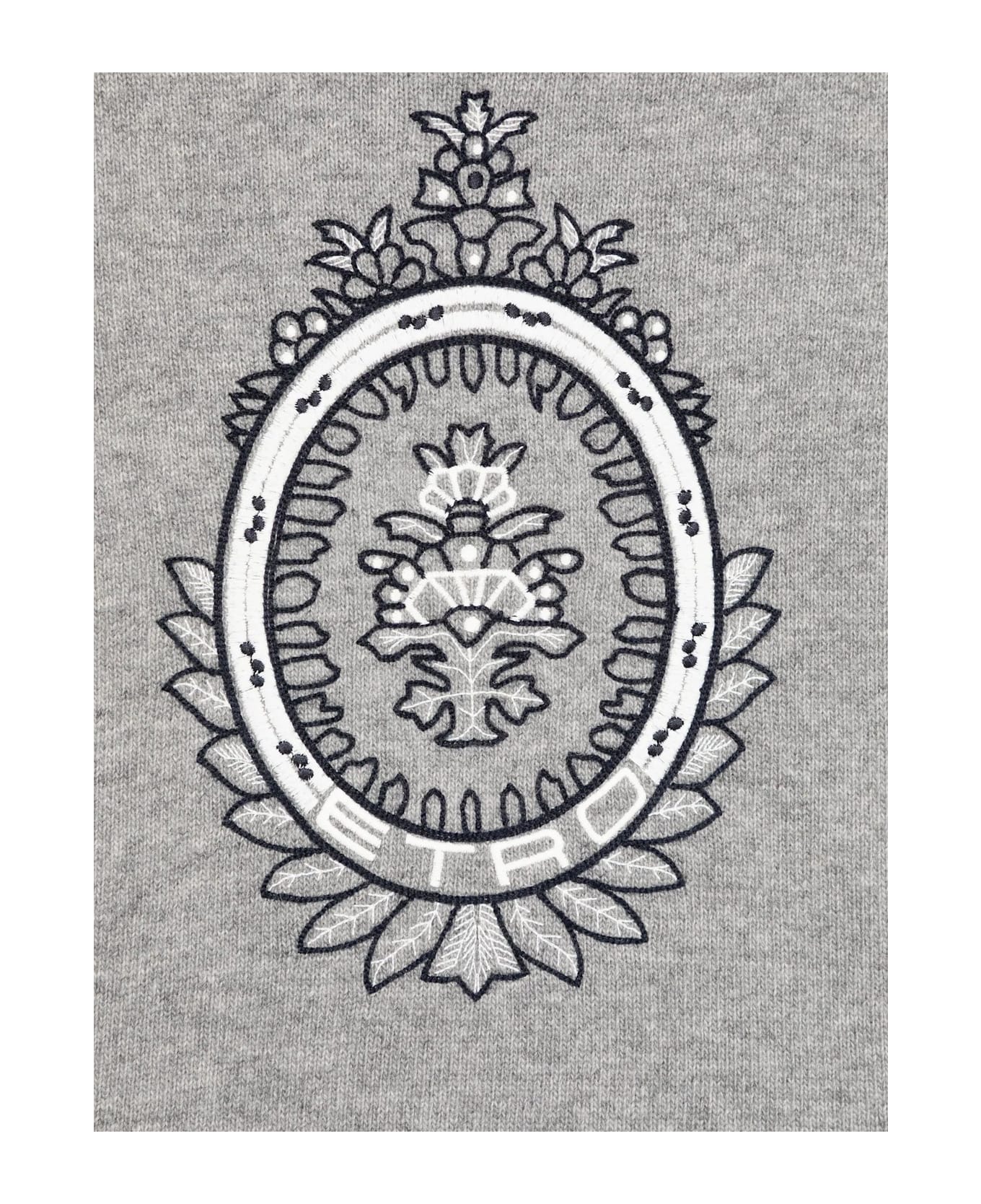 Etro Sweaters Grey - Grey