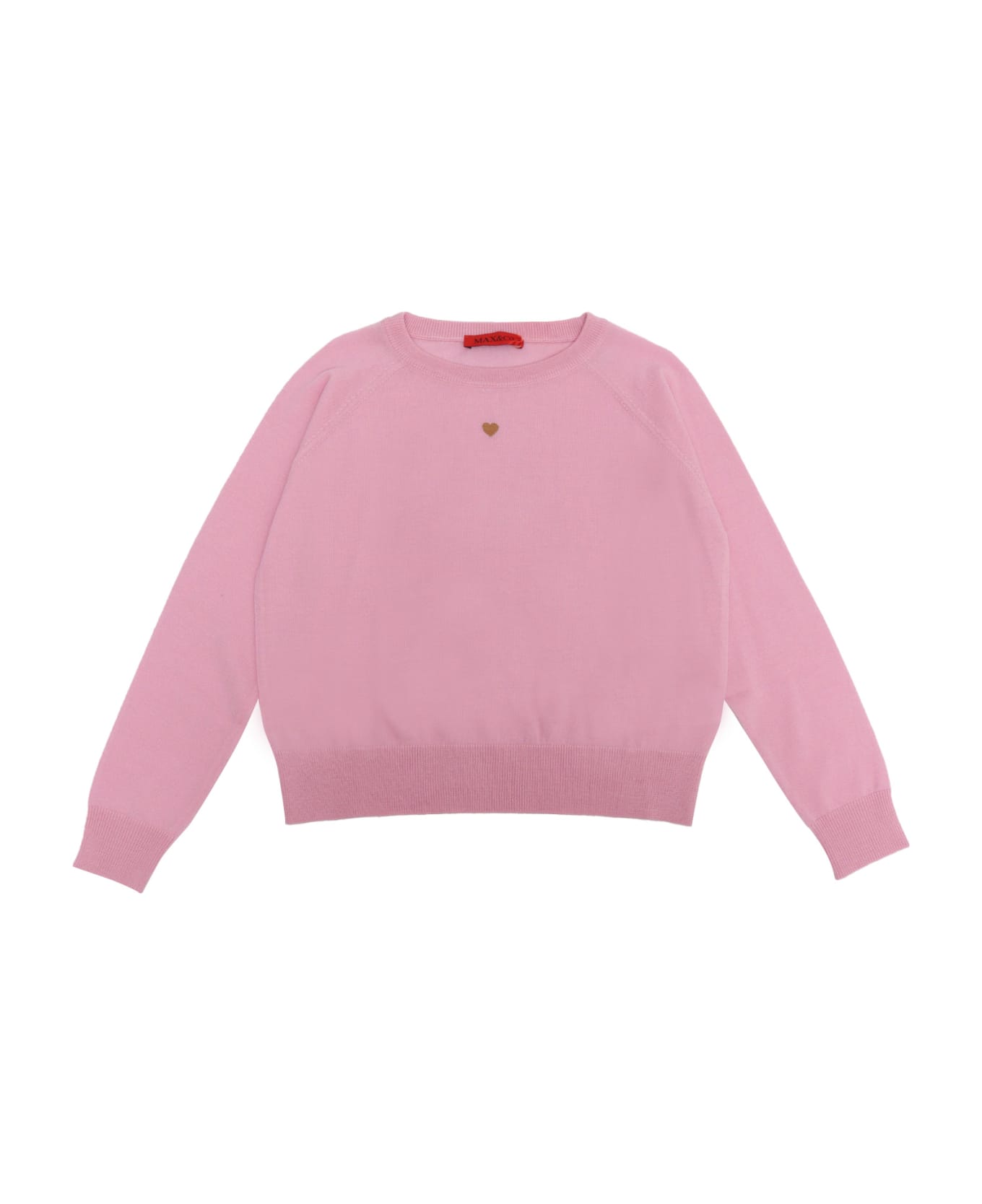Max&Co. Pink Sweater - PURPLE