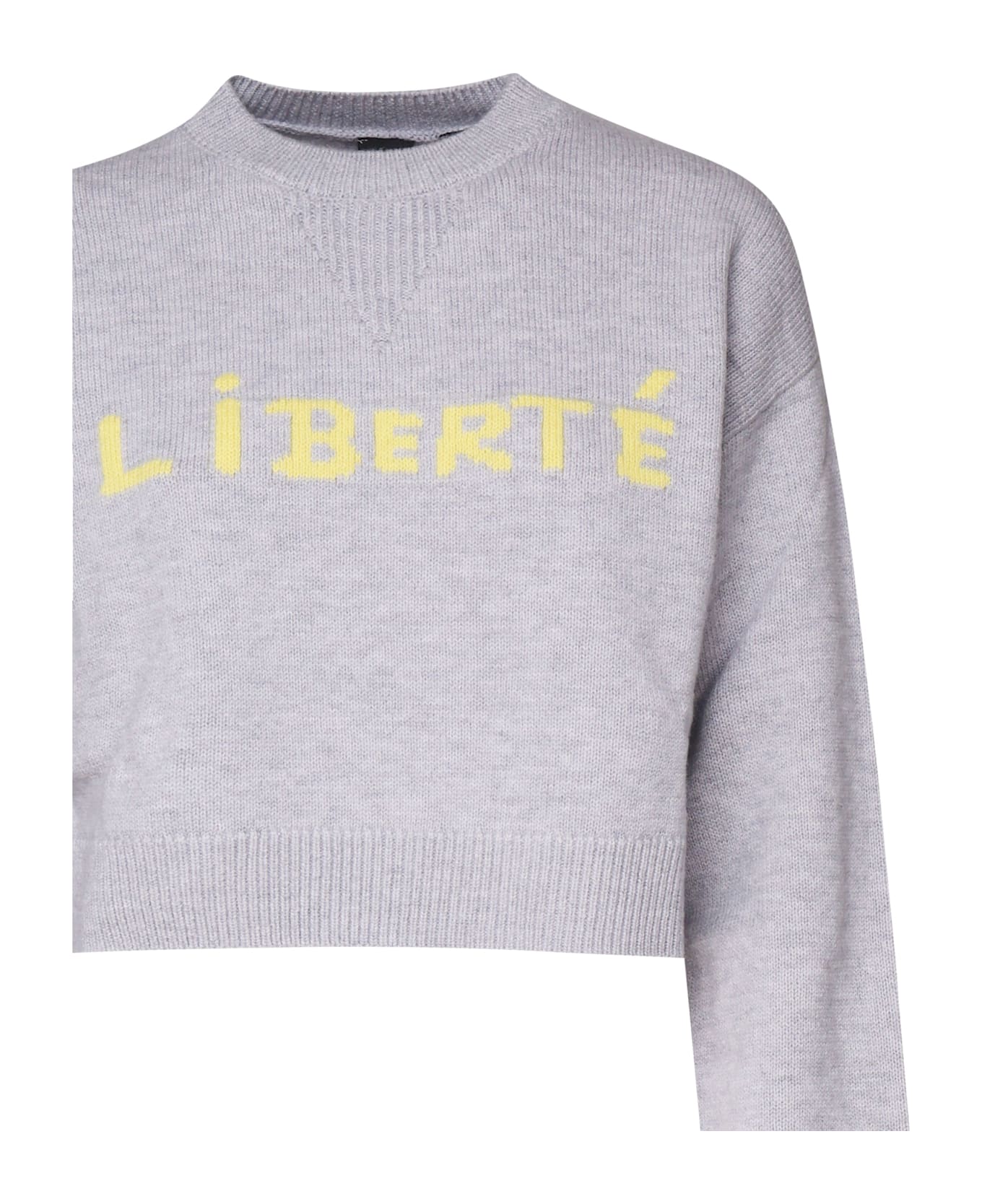 Pinko Kohona Sweatshirt - Grey