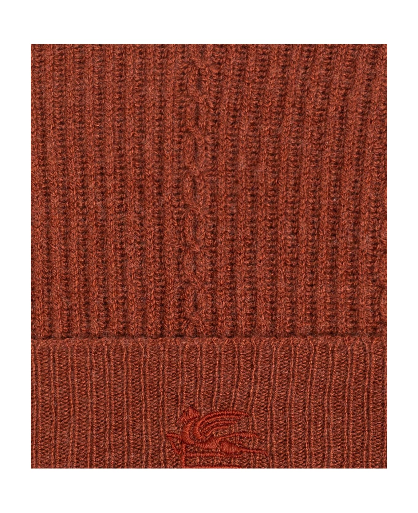 Etro Cap With Embroidered Logo - BORDEAUX