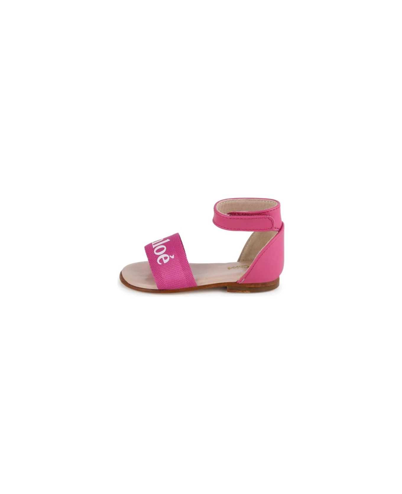 Chloé Fuchsia Sandals With Logo - Pink