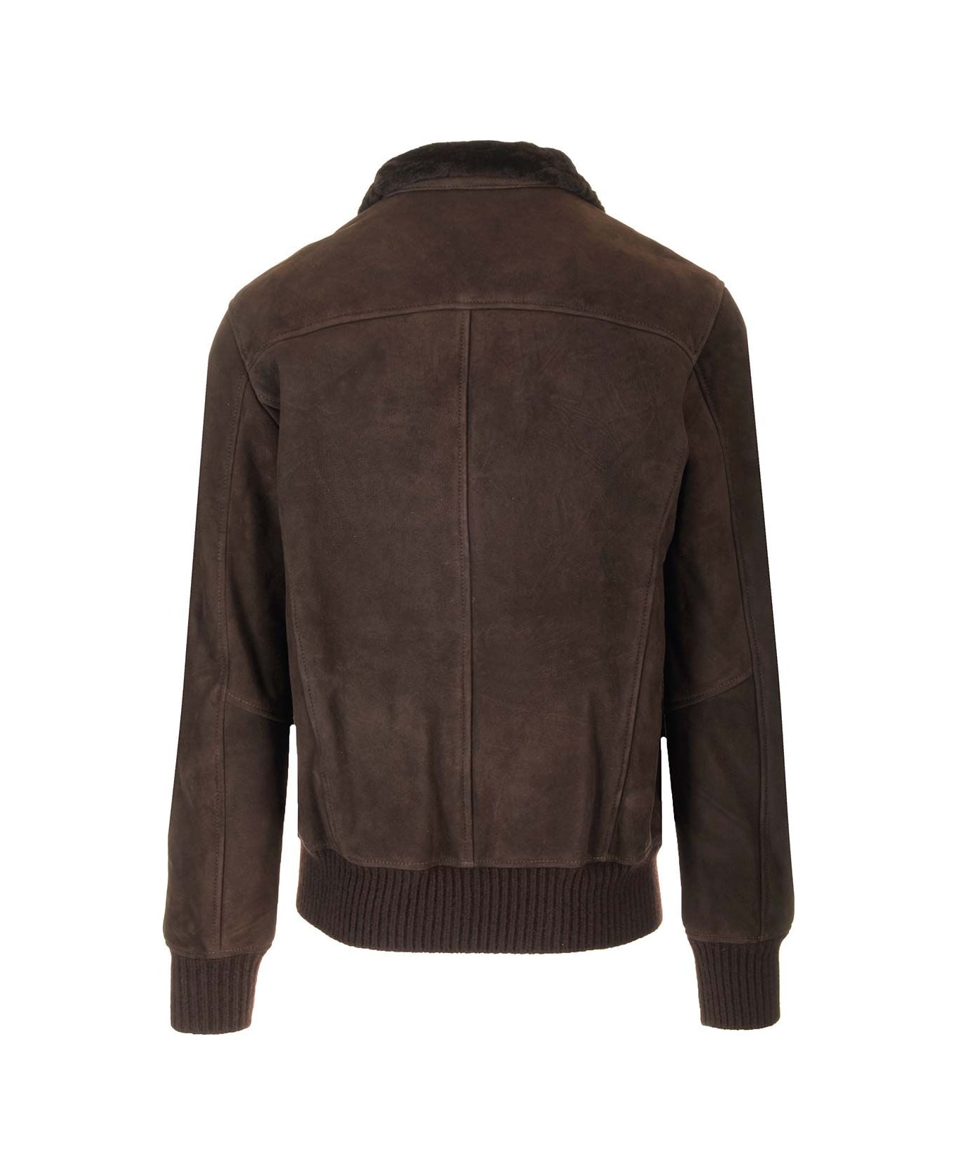 Giorgio Brato Bomber Jacket In Shearling - Brown