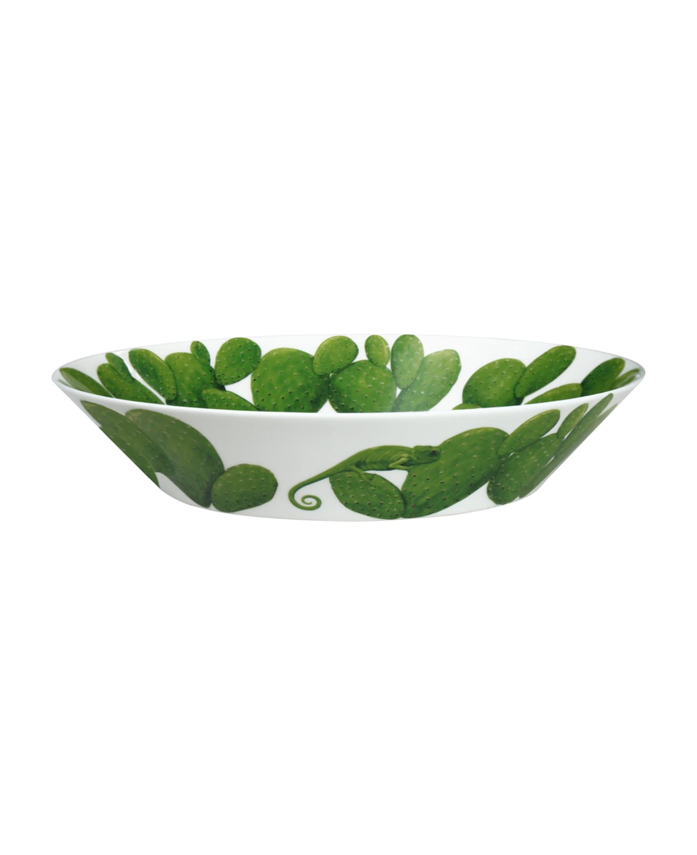 Taitù Large Bowl - Cactus Collection - Green