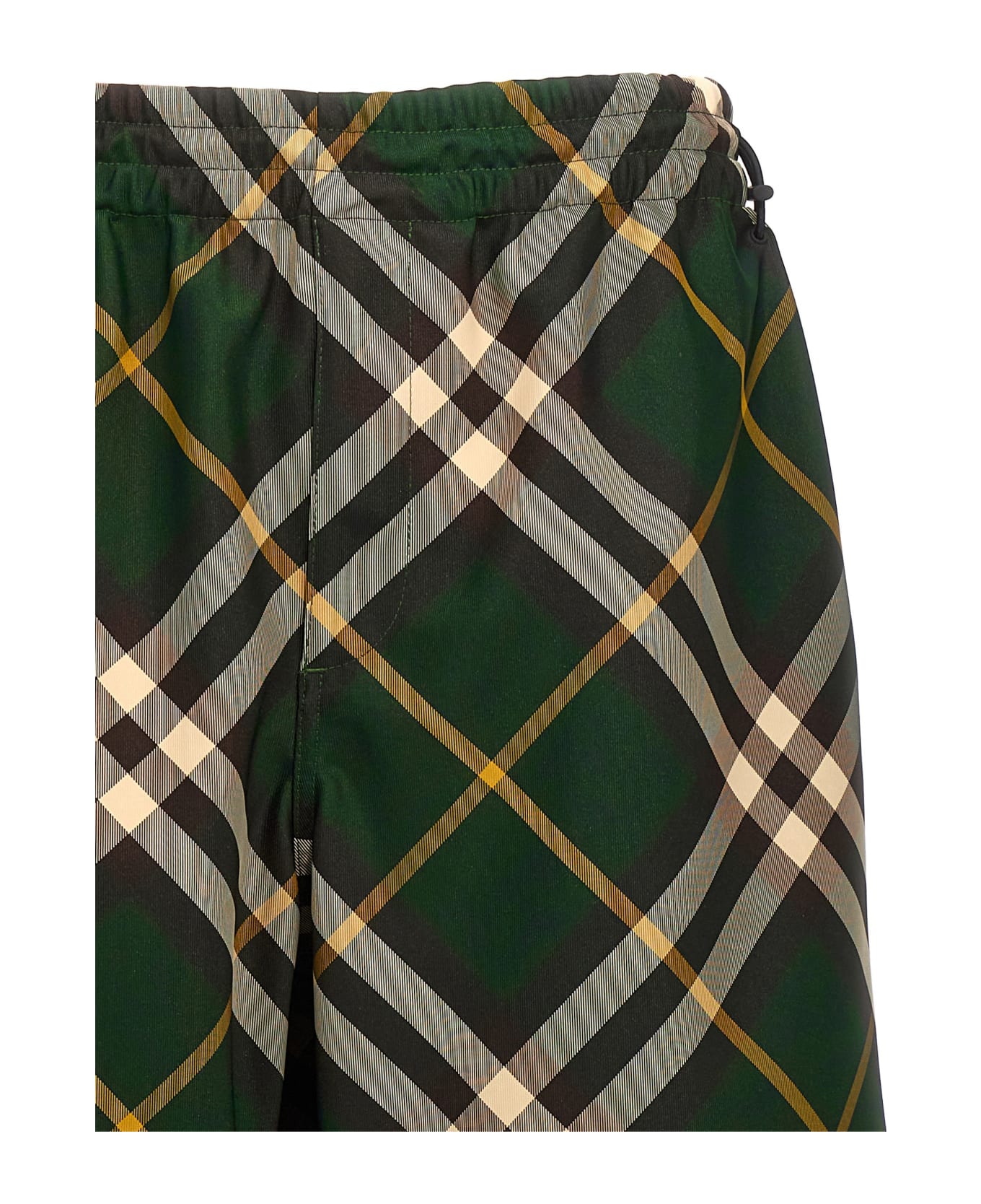Burberry Check Pants - Green ボトムス