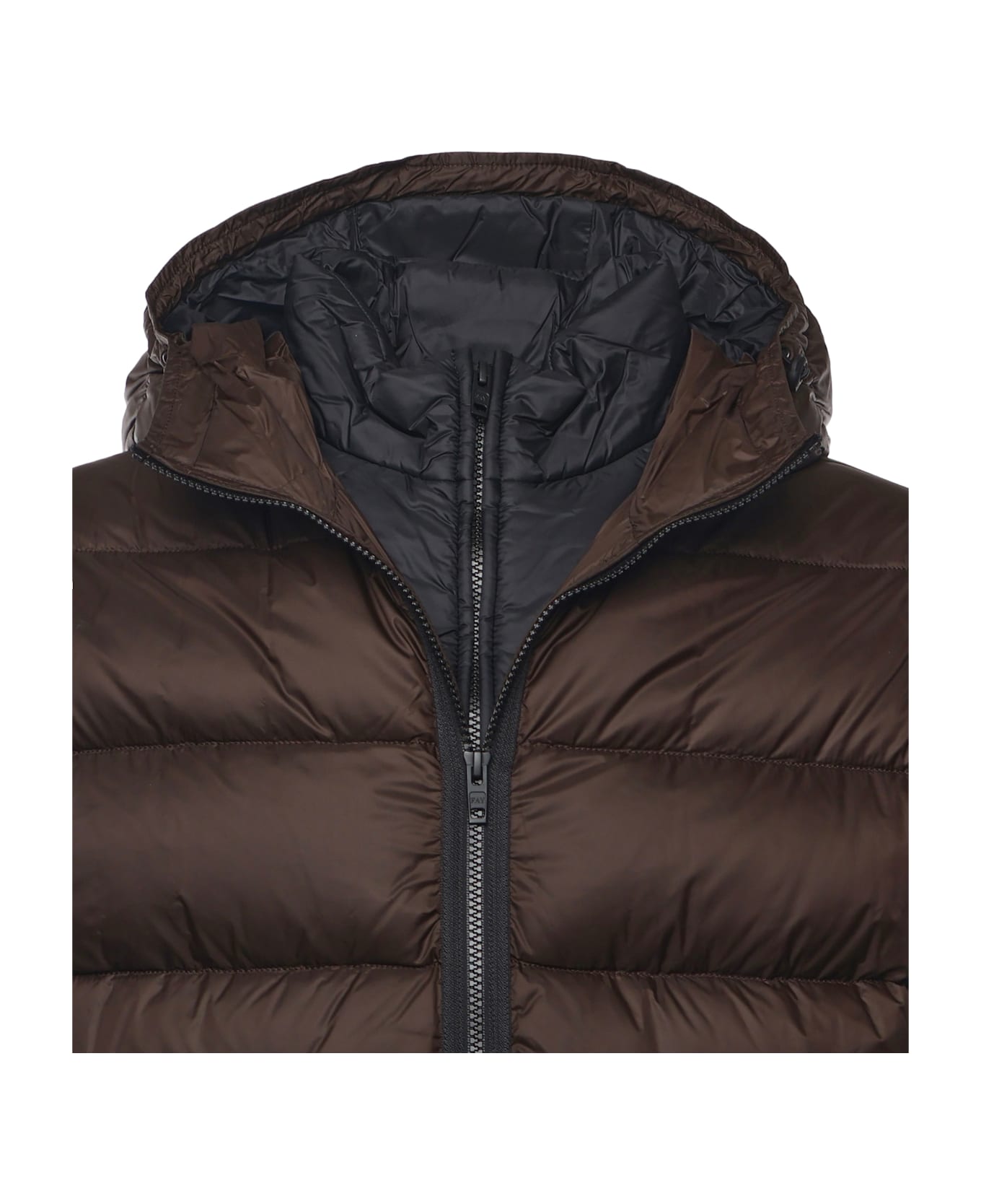 Fay Double-front Down Jacket In Calendered Poplin - PALISSANDRO