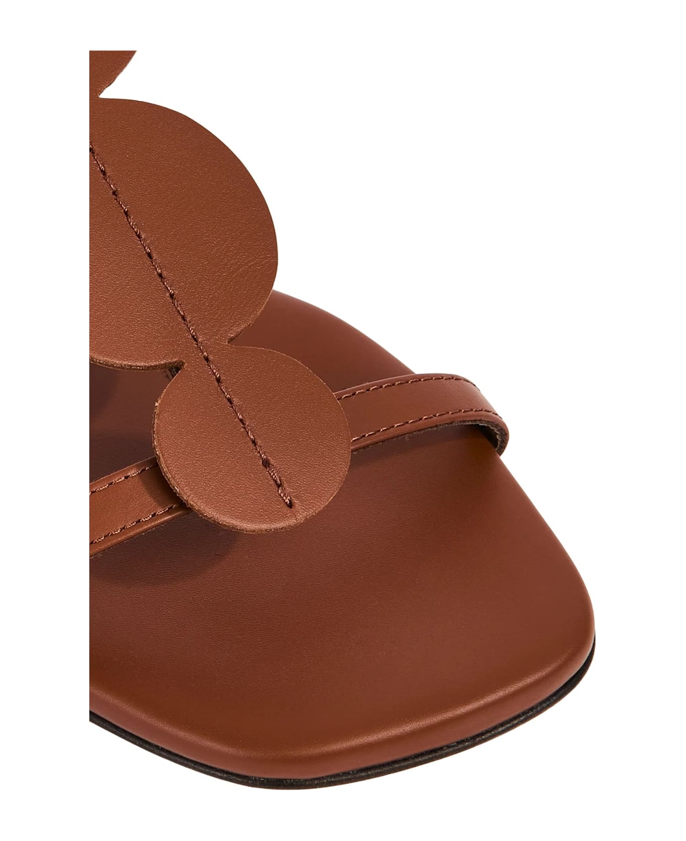 Liviana Conti Flat Mules Dots - Cuoio