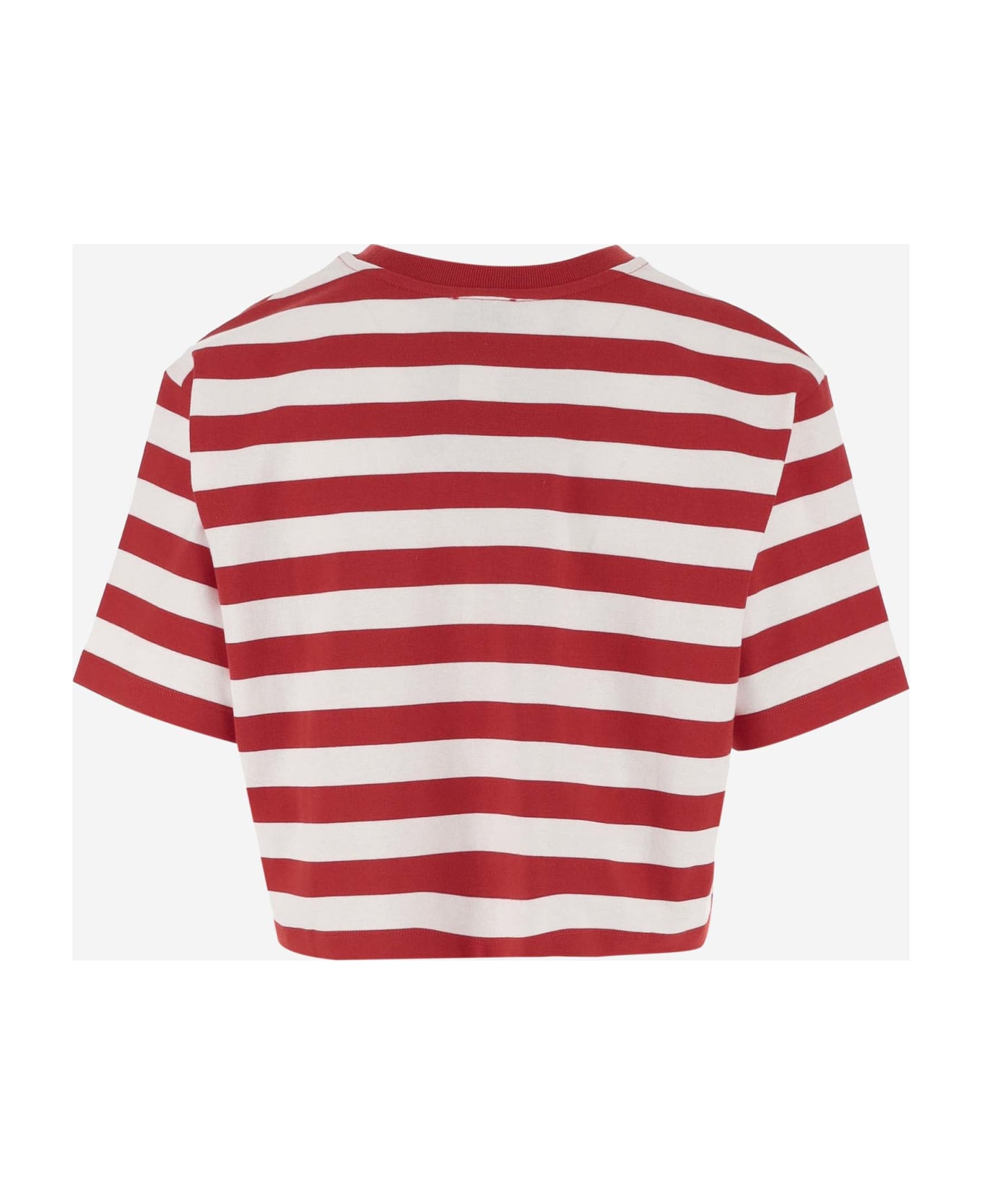Patou Cotton T-shirt With Logo Striped Pattern - Striped