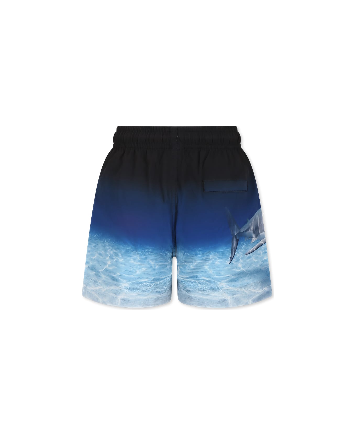 Molo Blue Swim Shorts For Boy With Shark - Blue