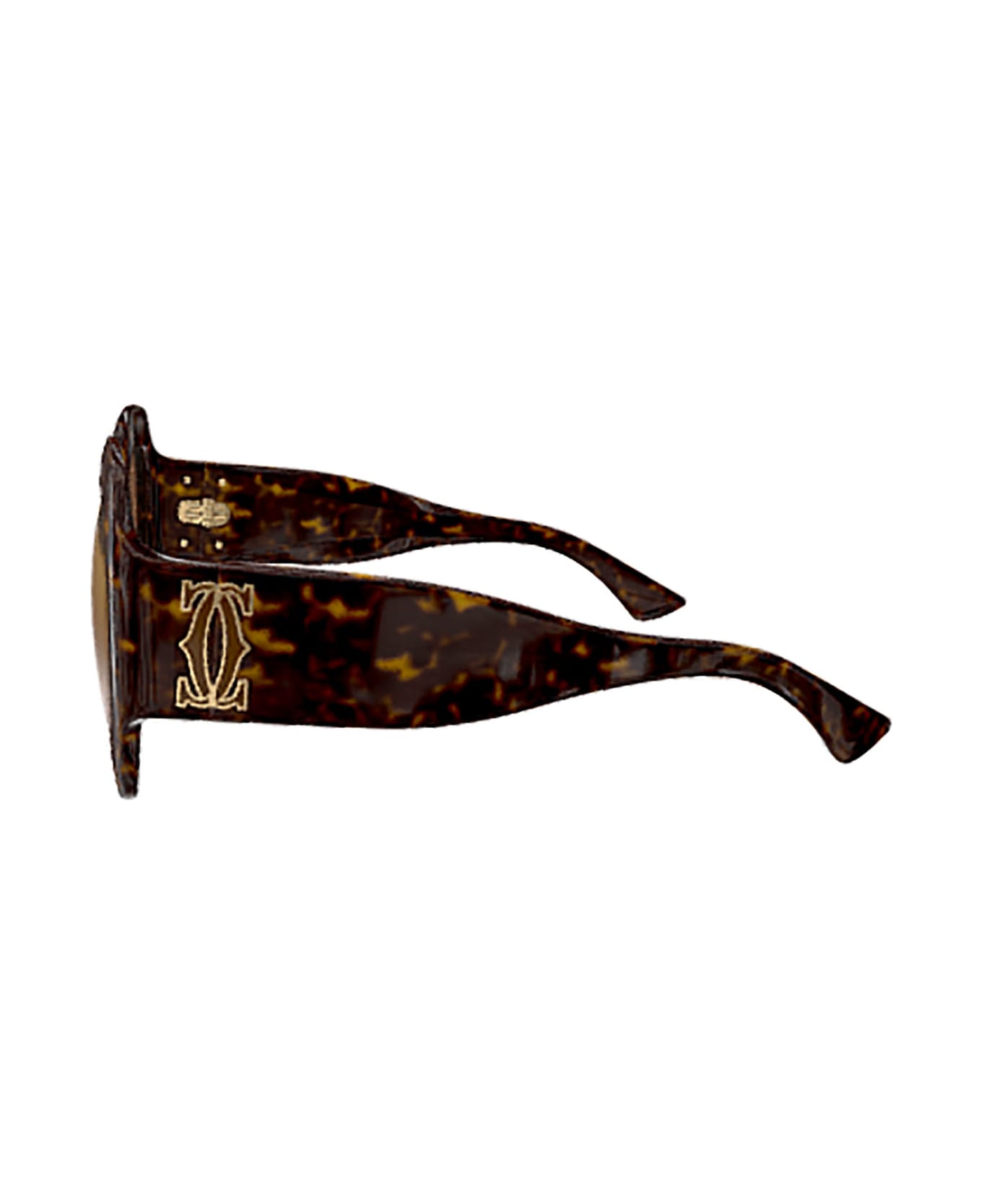 Cartier Eyewear Ct0434s Sunglasses - Havana Havana Brown