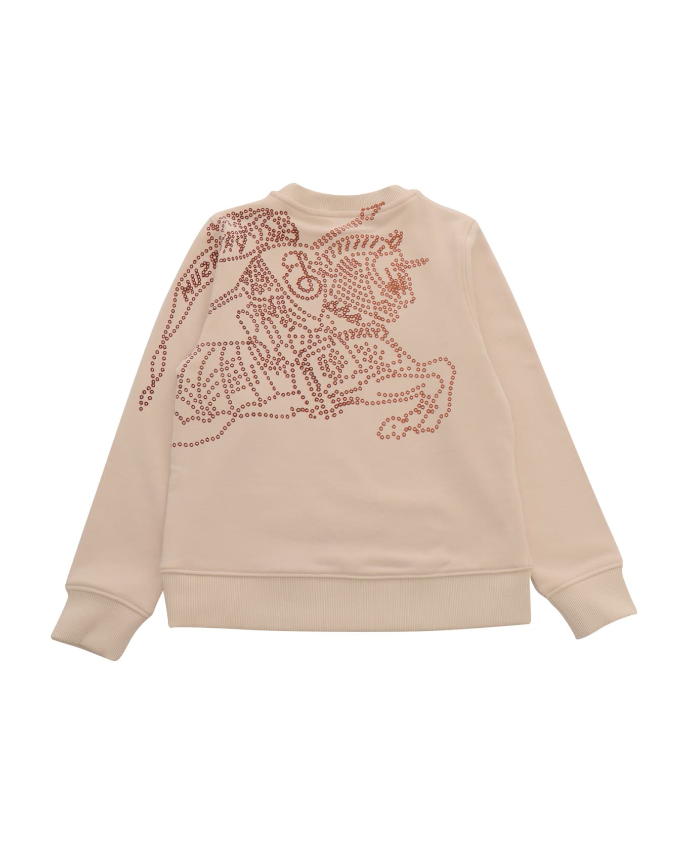 Burberry Kid Boy Sweaters - MULTICOLOR