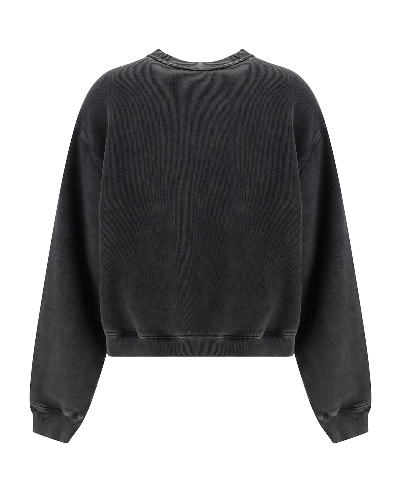 Alexander Wang Sweatshirt - Washed Cedar