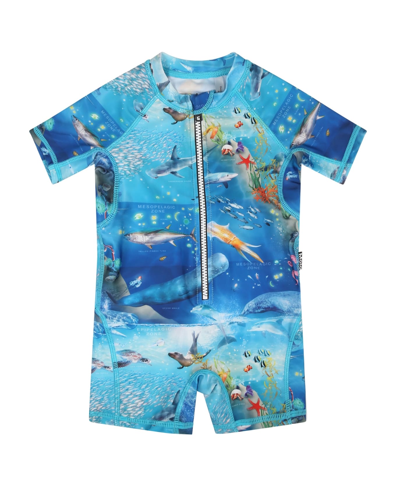Molo Light Blue Swimsuit For Baby Boy With Marine Animals - Light Blue Tシャツ＆ポロシャツ