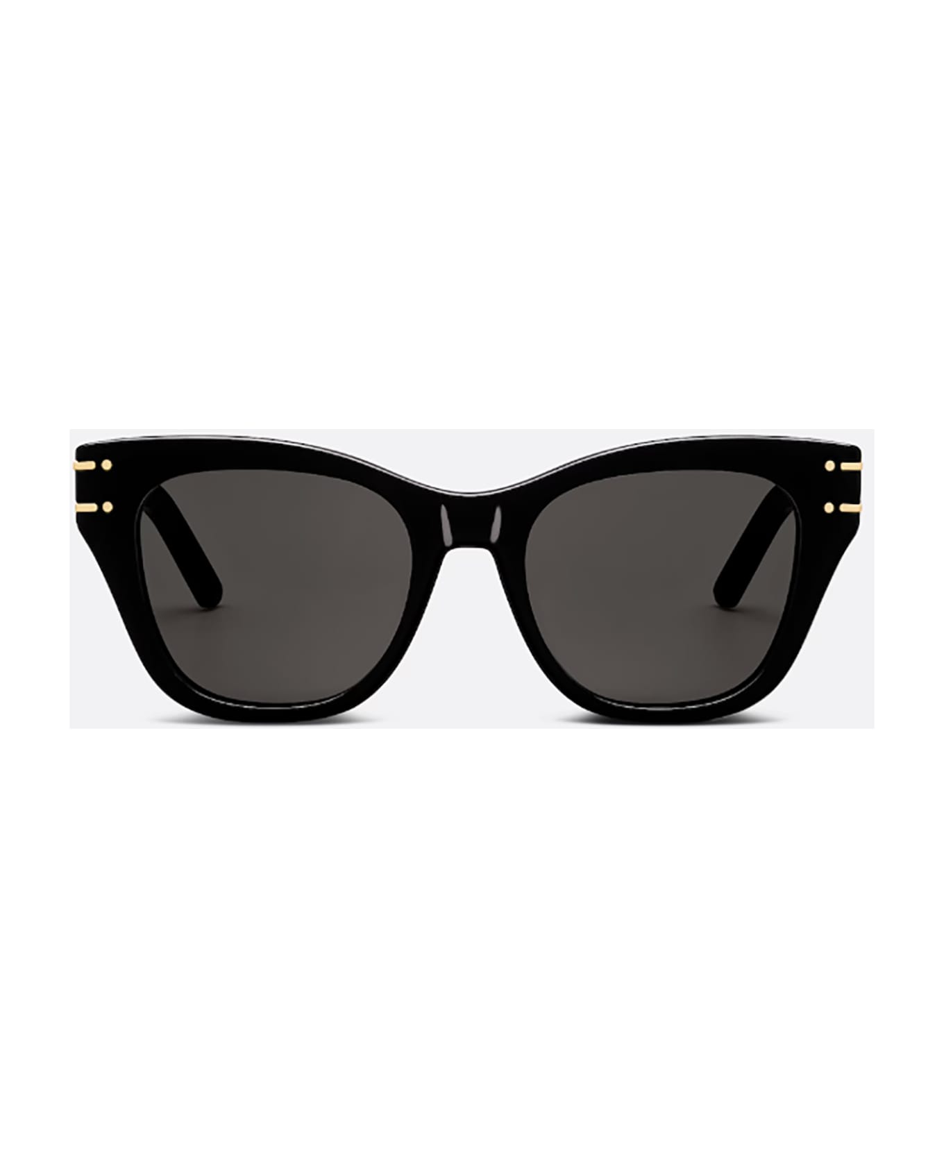 Dior Eyewear DIORSIGNATURE B4I Sunglasses サングラス