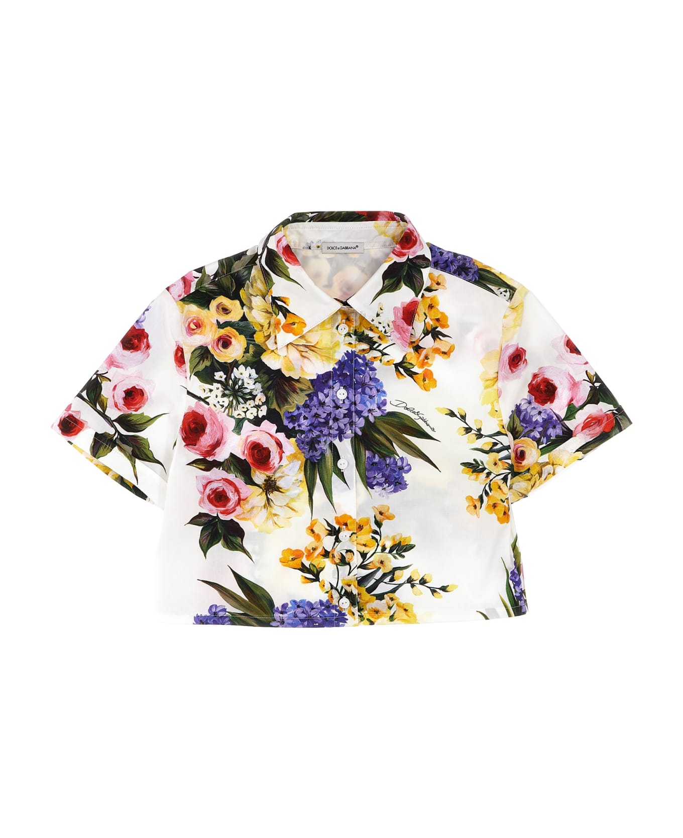 Dolce & Gabbana 'giardino' Shirt - Multicolor