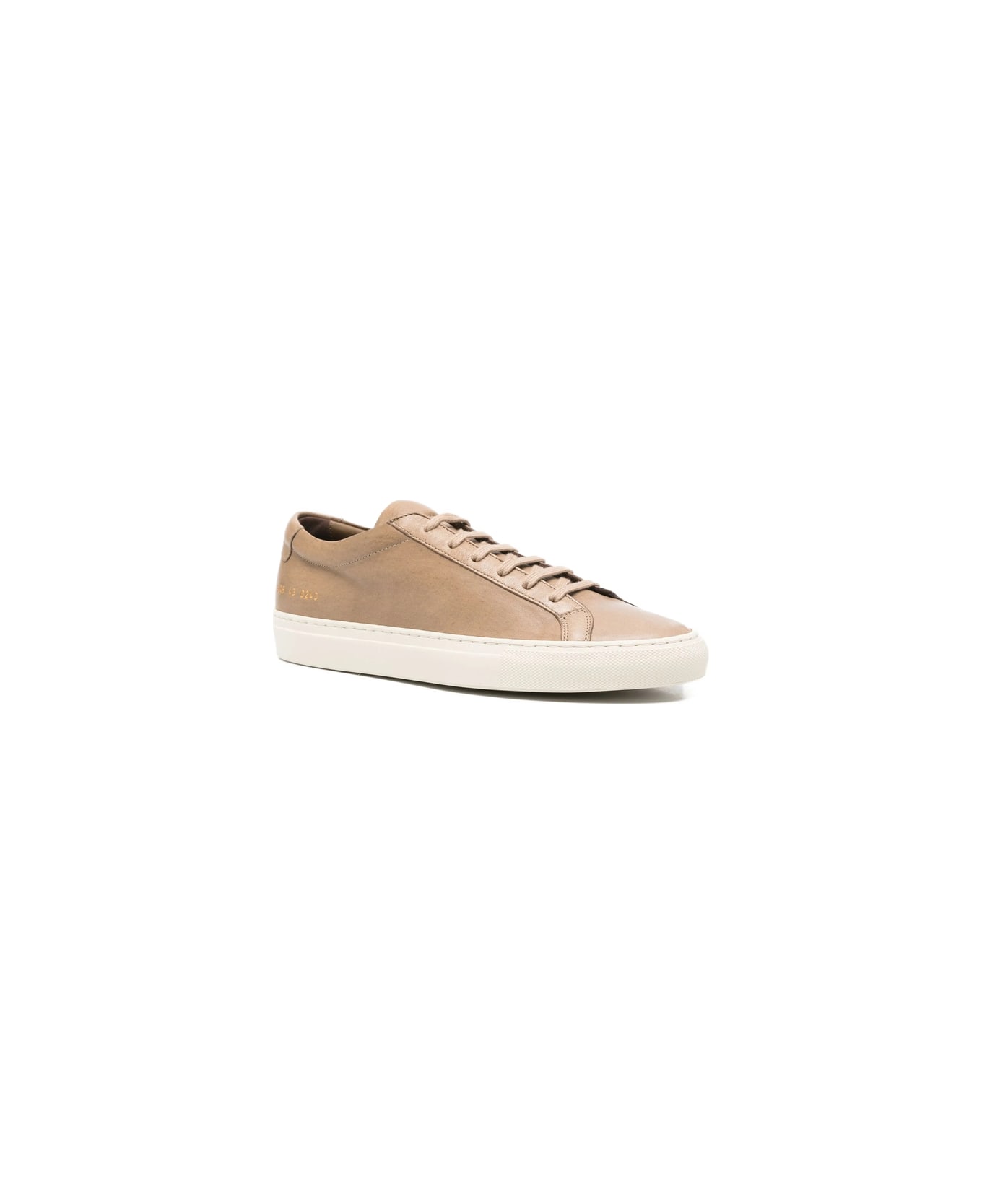 Common Projects Shoe - BROWN
